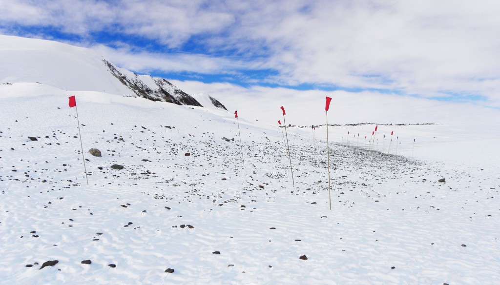 Flags are planted for "meteorite candidate" spots for collection later. Image credit: ANSMET