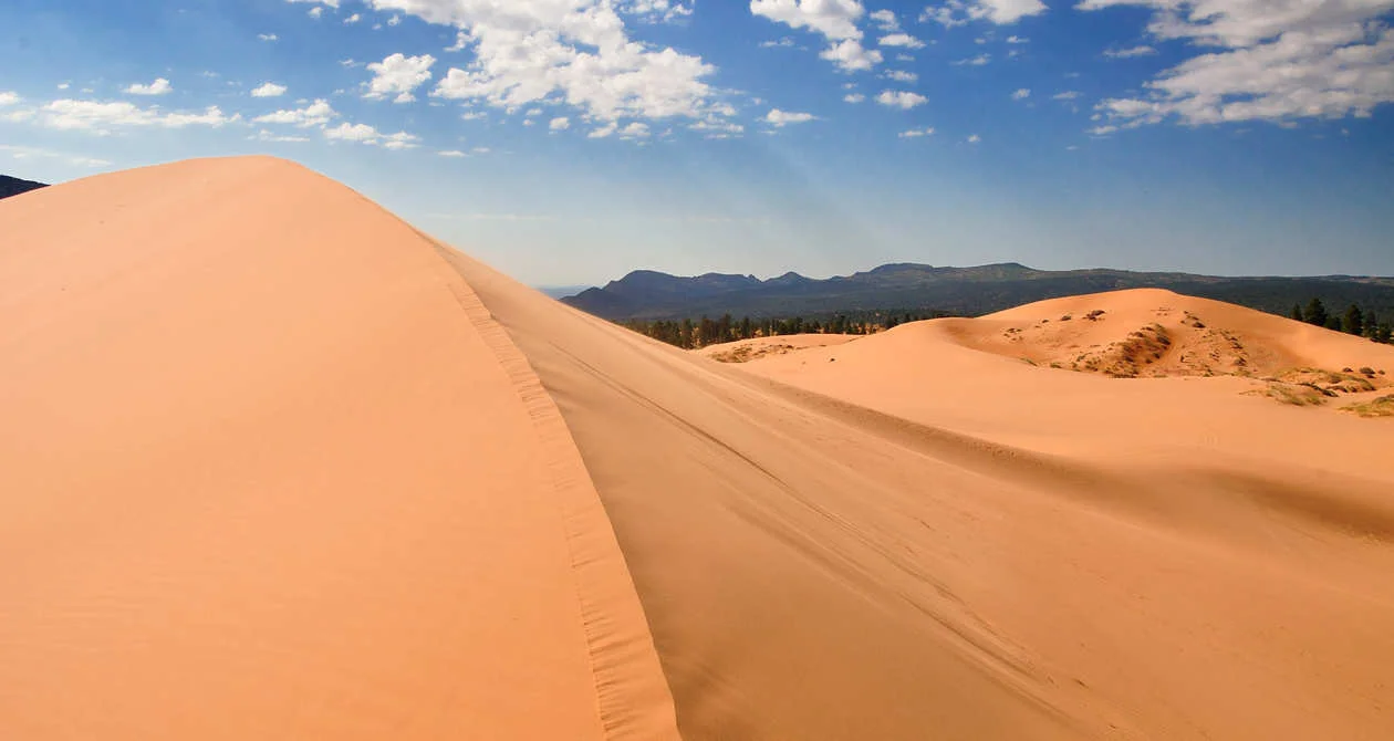Pink Coral Sand Dunes State Park in Utah. Image credit: Utah.com