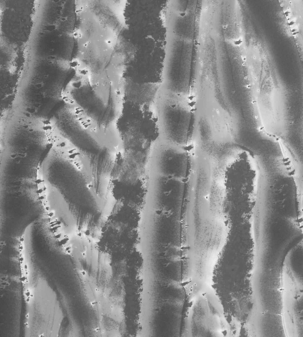 Larger and longer dune fields defrosting! Image credit: NASA/HiRISE/ASU