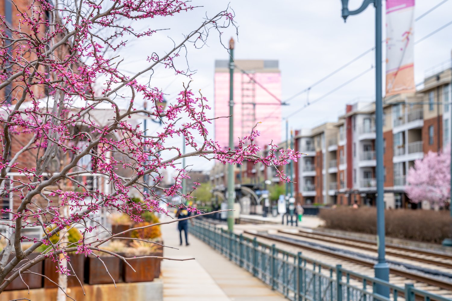 Rail Trail - City of Charlotte