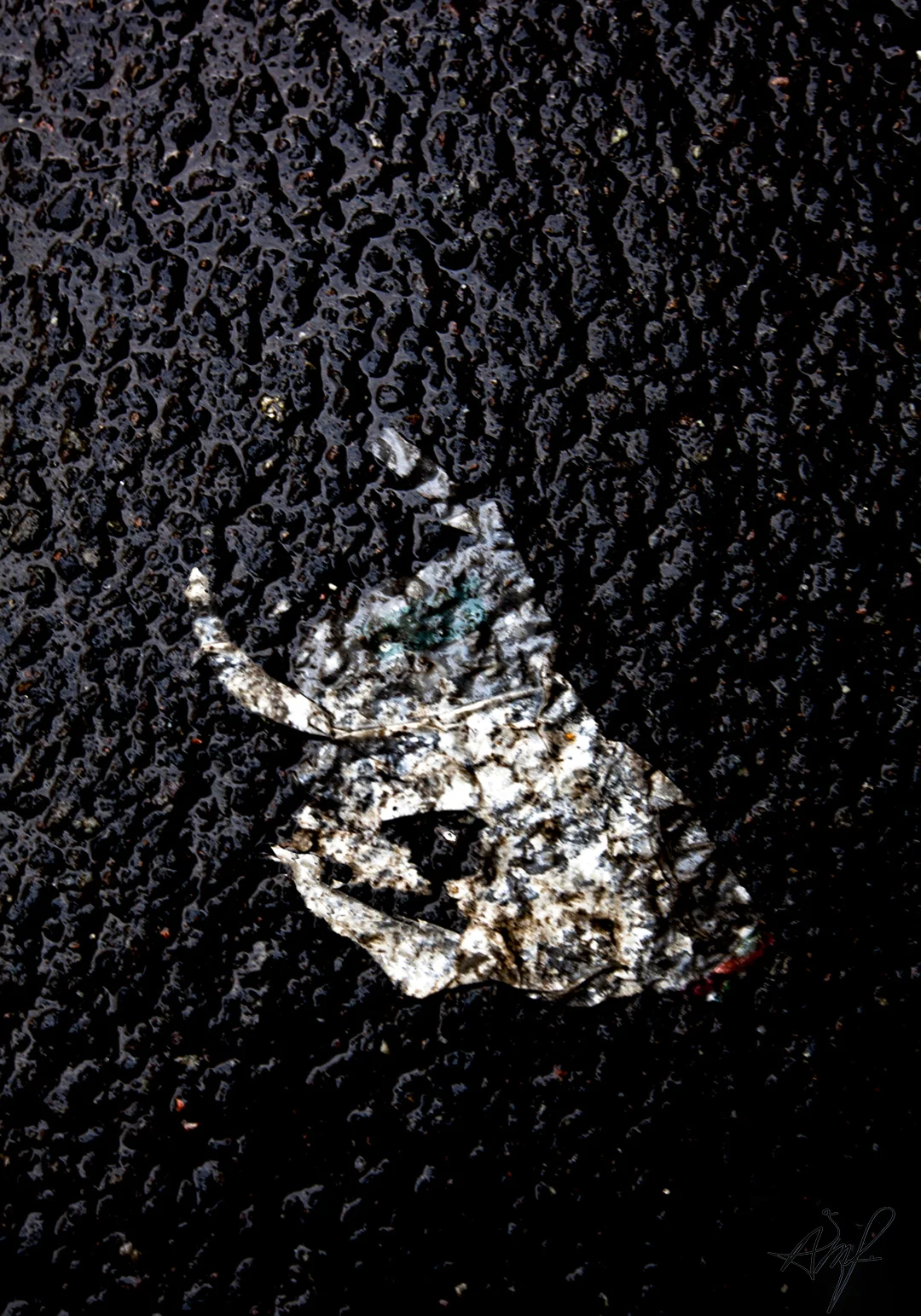 "Uten tittel", 2016, FOTO: Åse-Marie Faldalen
