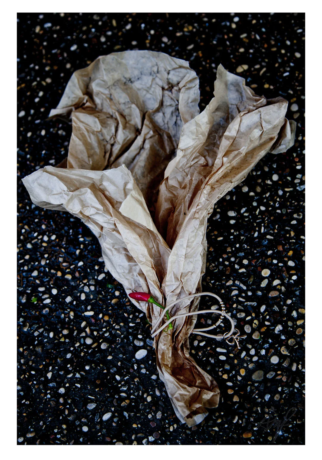 "Uten tittel", 2015