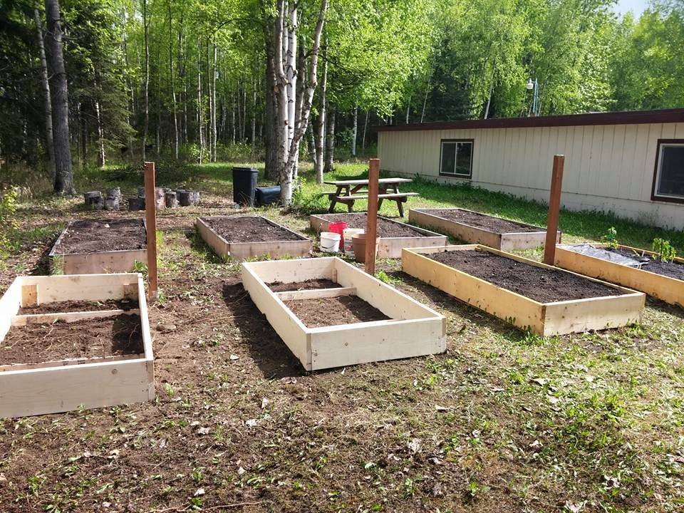 2nd summer- 8 plots total!