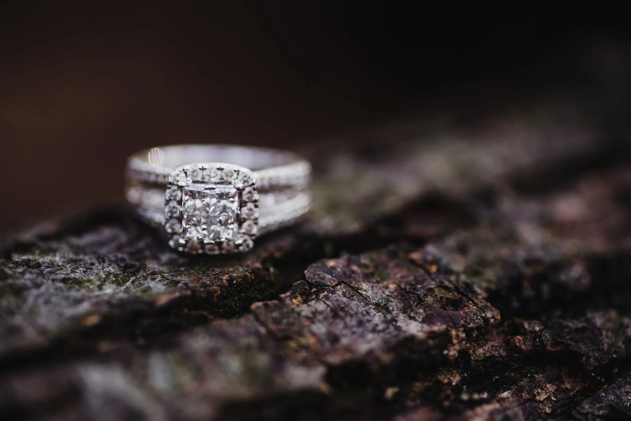 engagement photos ring macro.jpg