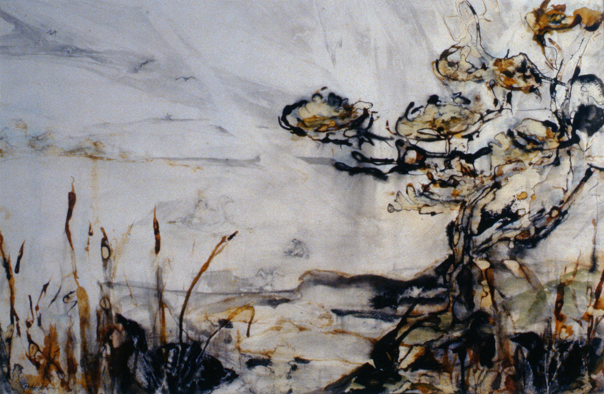 A8-9680101edit.jpg