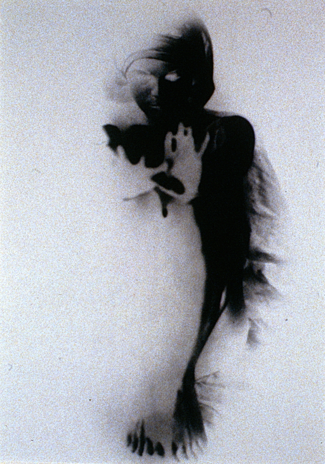 Figure Study , 1982, M. Isabel Roberts, photograph, 982.05.01