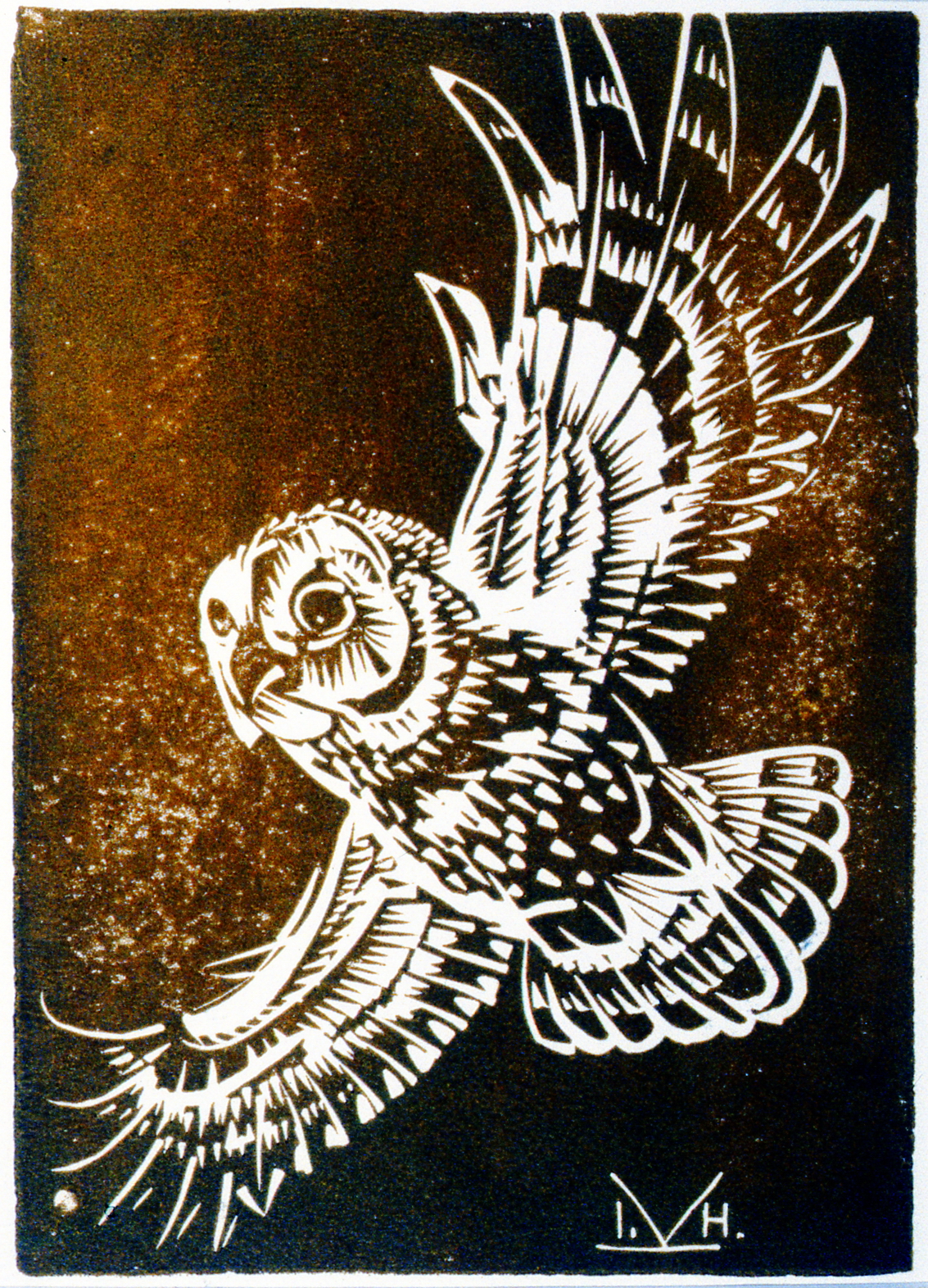 Owl , Illingworth Kerr, lino on paper, 8 7/8" x 6 1/4", 1993.02.03