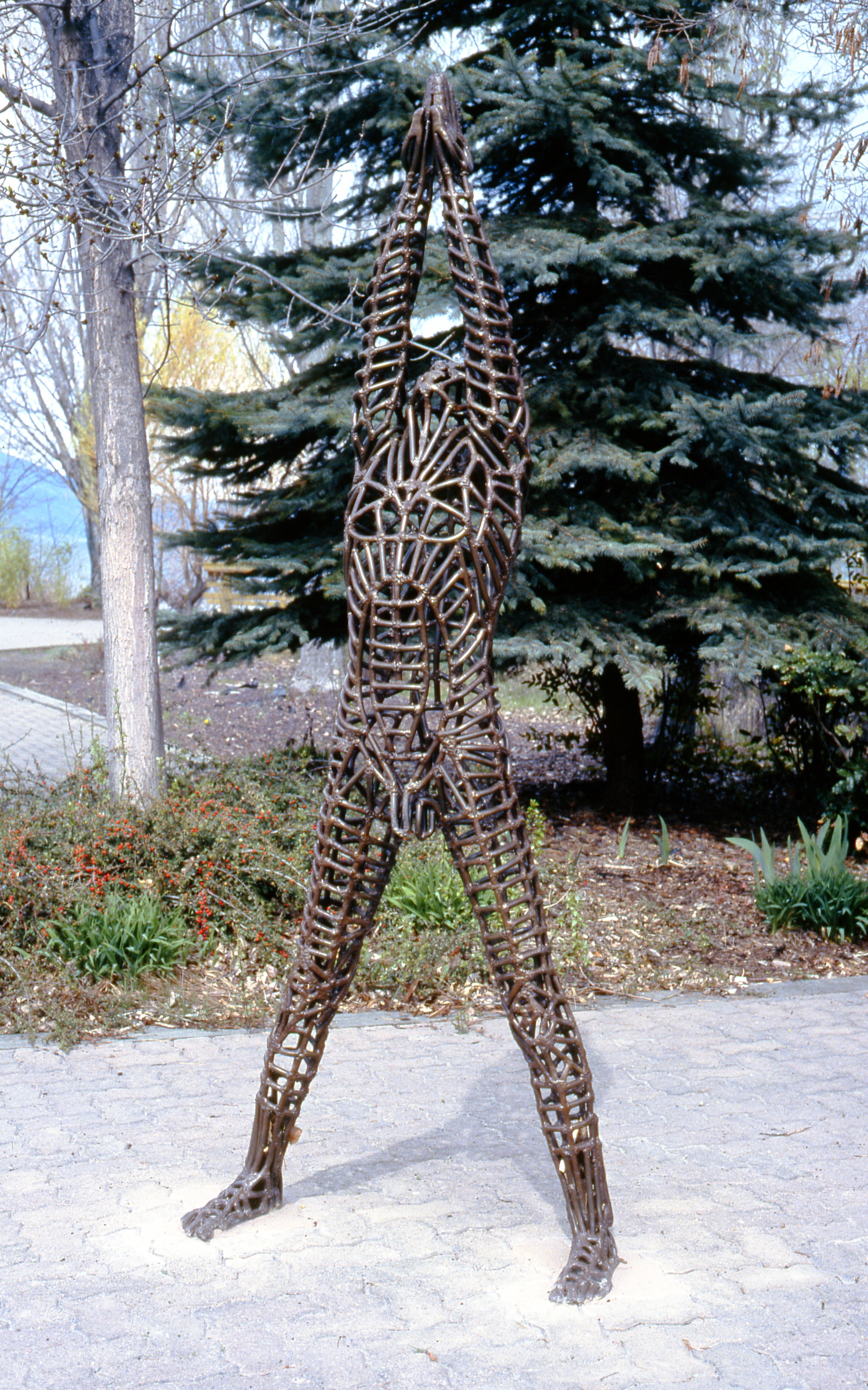 Breaking Through, 1979, Aleta Shores (n. La France), welded steel, 90" tall, 2001. 03.01. Gift of Dr. Elliot & Loretta Phillips.