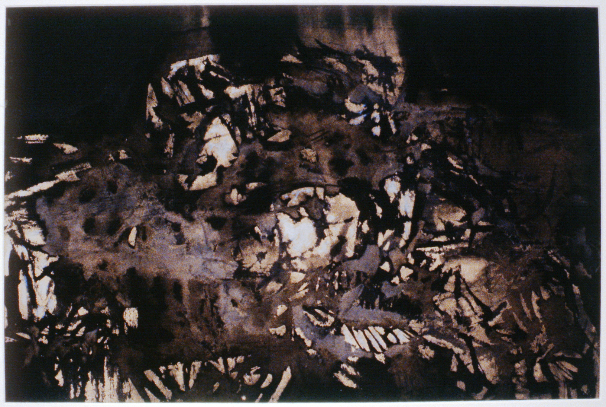 Forest Floor , Dan Jarvis, 1964, ink on paper, 14 5/8" x 22", 1986.07.01. Gift of the Oliver Community Arts Council.