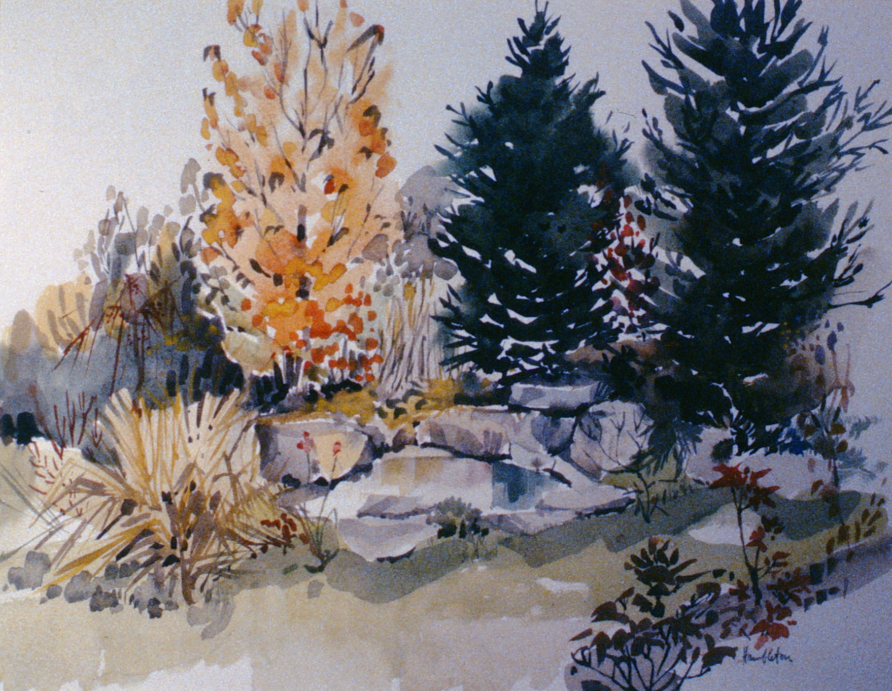 A Corner of the Garden , 1964, Jack Hambleton, watercolour on paper, 39 x 52 cm, 1987.01.02. Gift of Mrs. Ernestine Lamoureux.