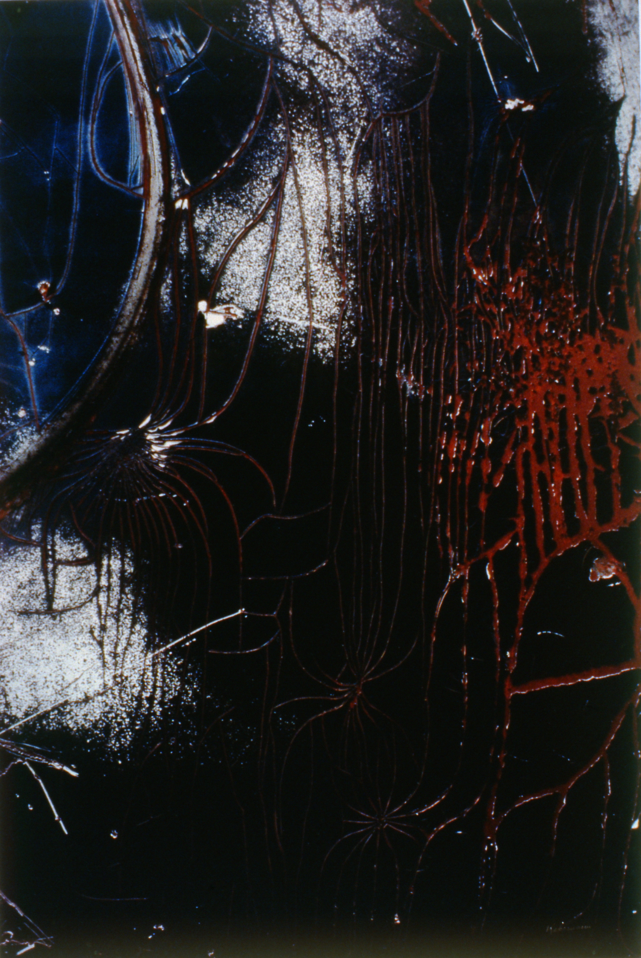 Etchings of Time , nd. Gerhard Kahrmann, photograph, 22" x 28", 1994.16.01