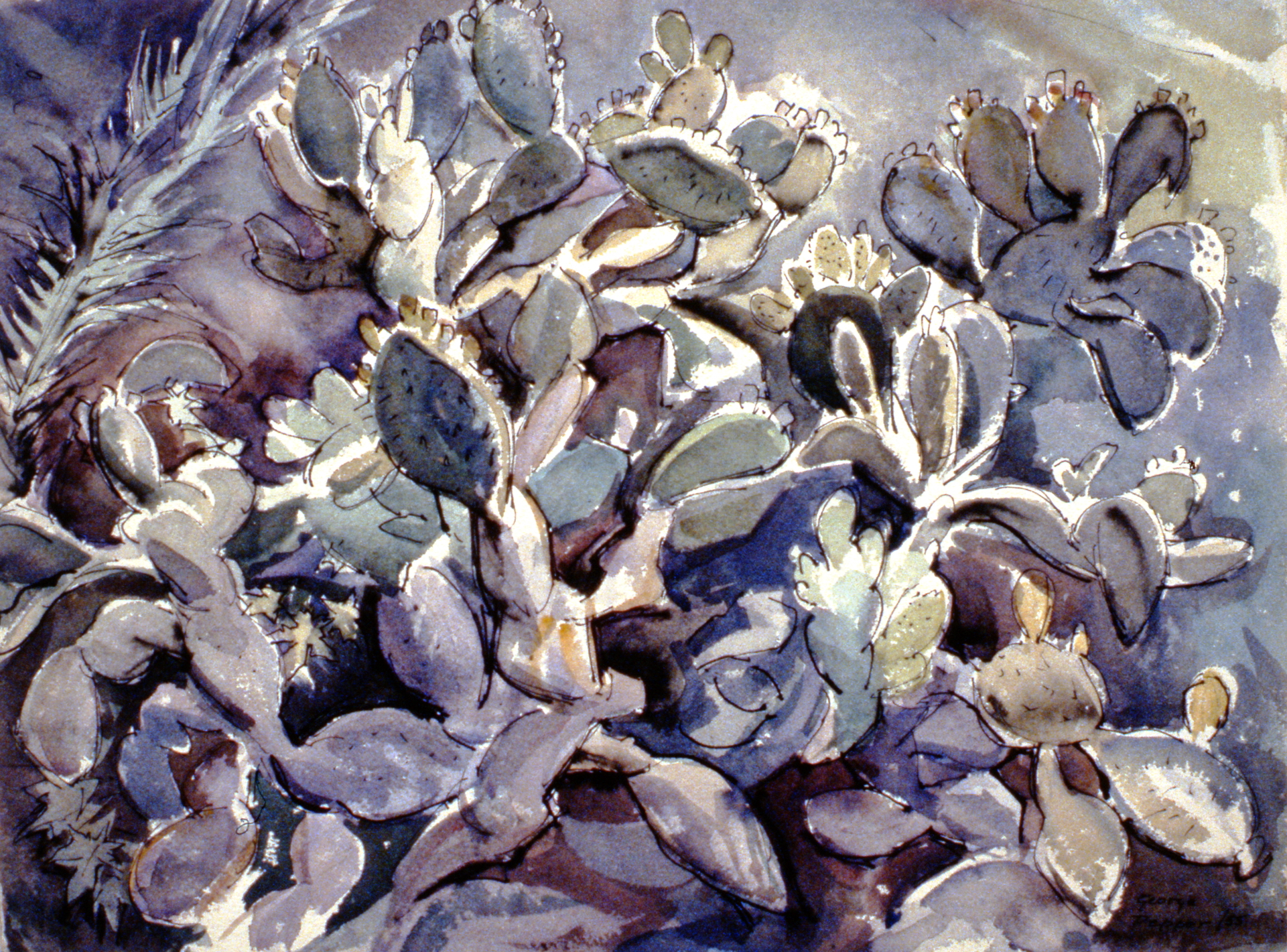 Untitled (Cactus)