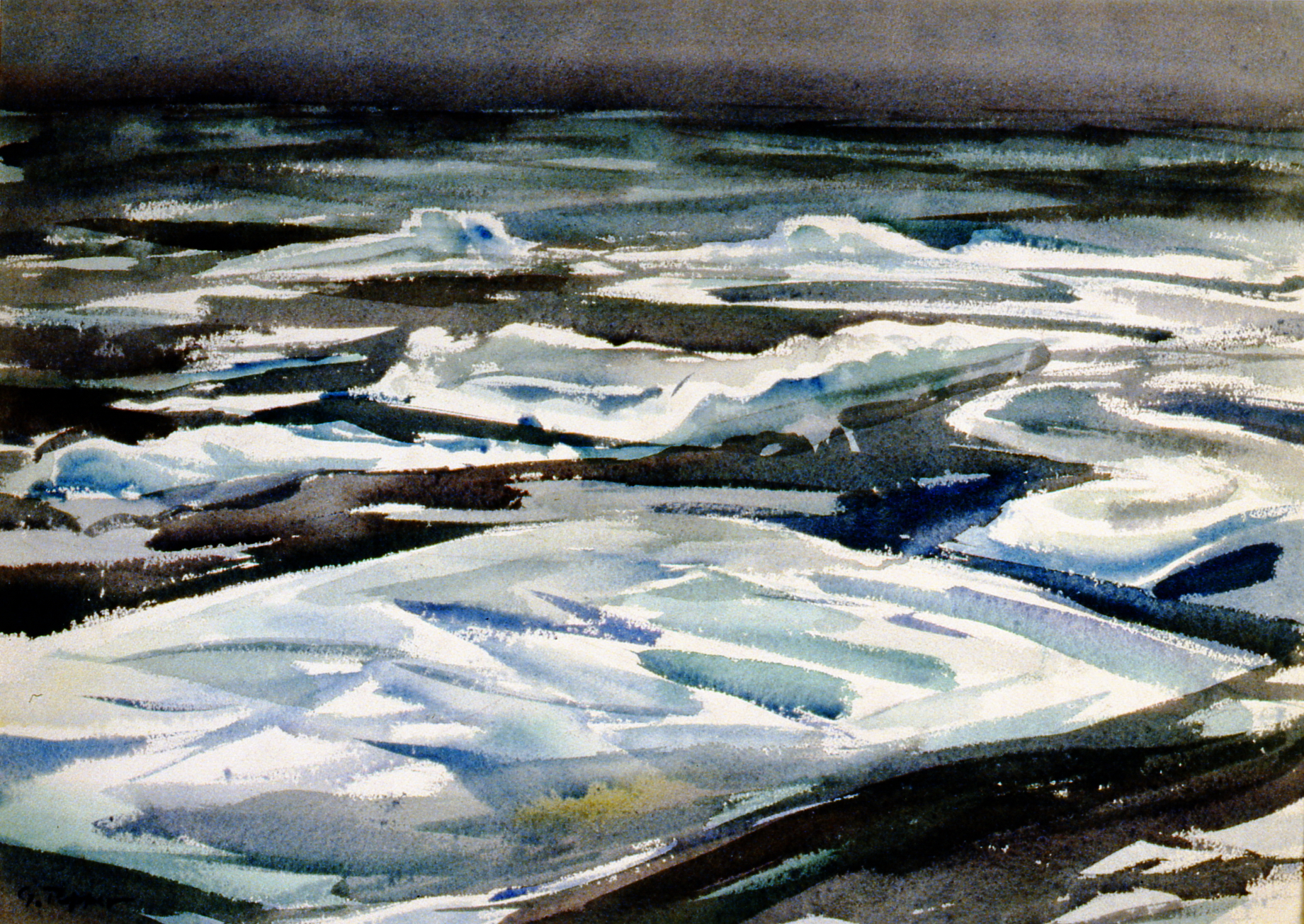 Arctic Sketch