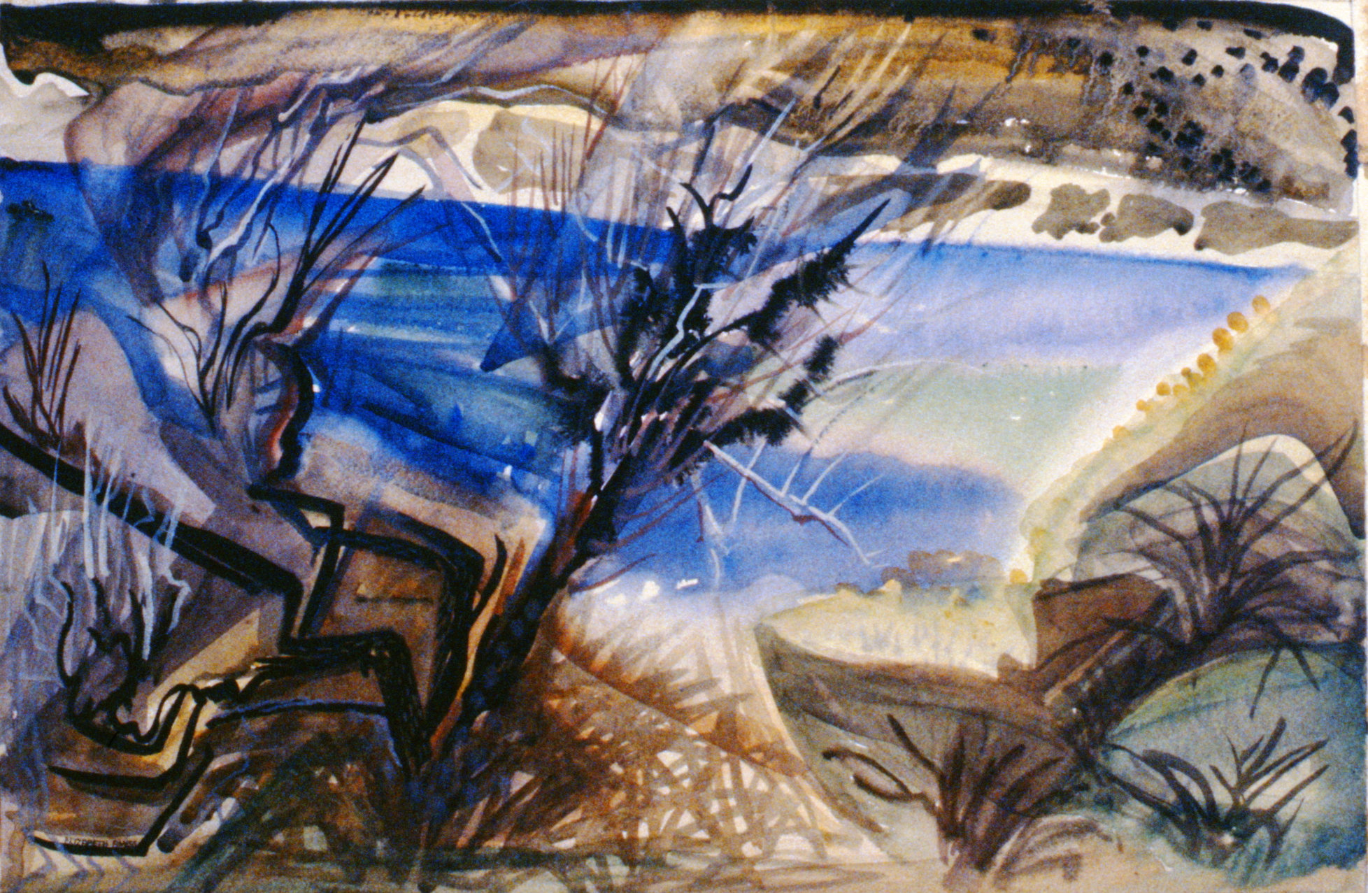 Greasewood , c.1947, Elizabeth Amess, watercolour 35.5 x 54cm, 1995.10.04
