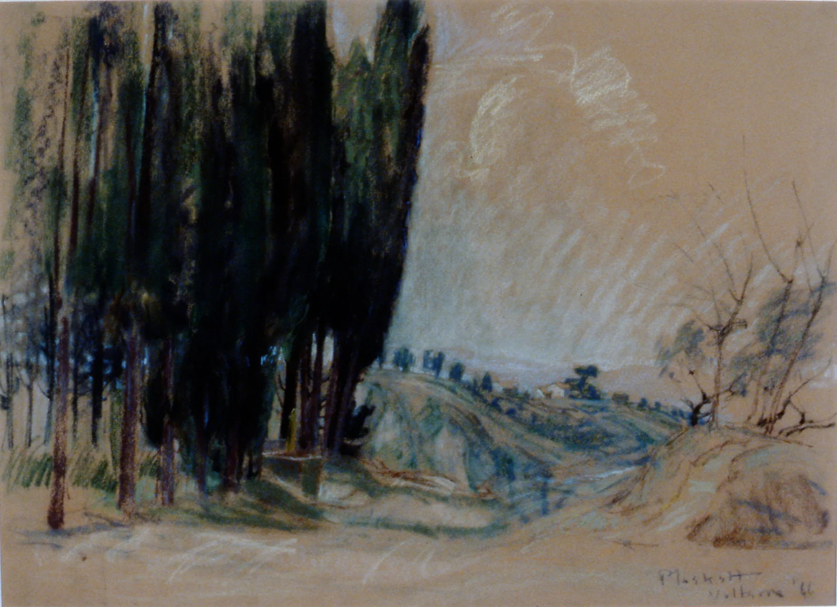 Road Past the Cyprus , 1966, Joseph Plaskett, pastel on beige paper, 50 cm x 65 cm, 1998.03.02, gift of Arthur E. Lock