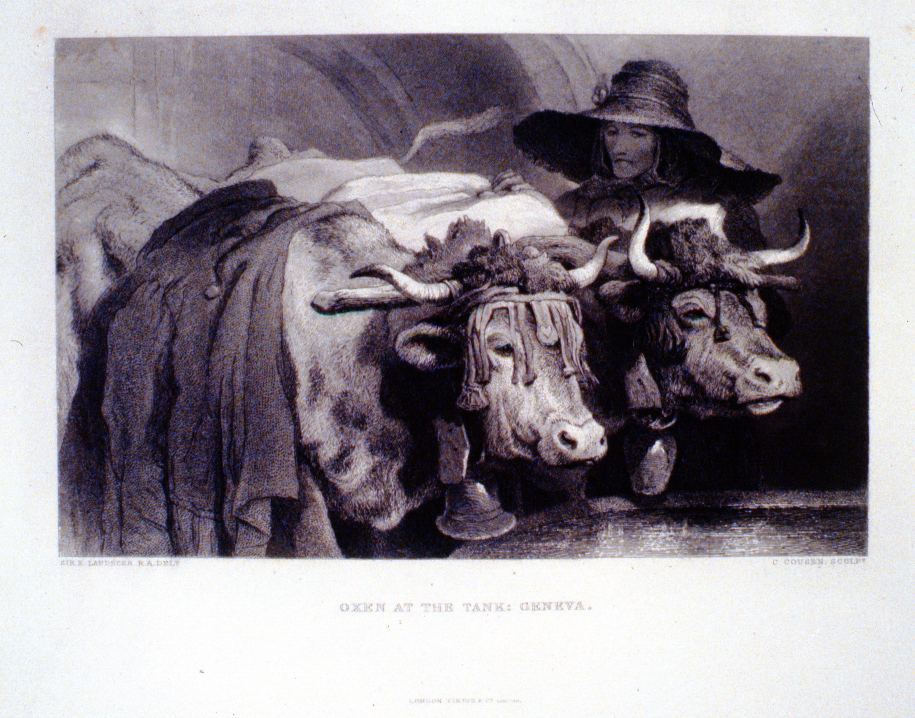 Oxen at the Tank: Geneva , c. late 19th Century, C. Cousen, steel engraving, 15.5 cm x 24.8 cm, 1996.08.08, gift of Yvonne Adams