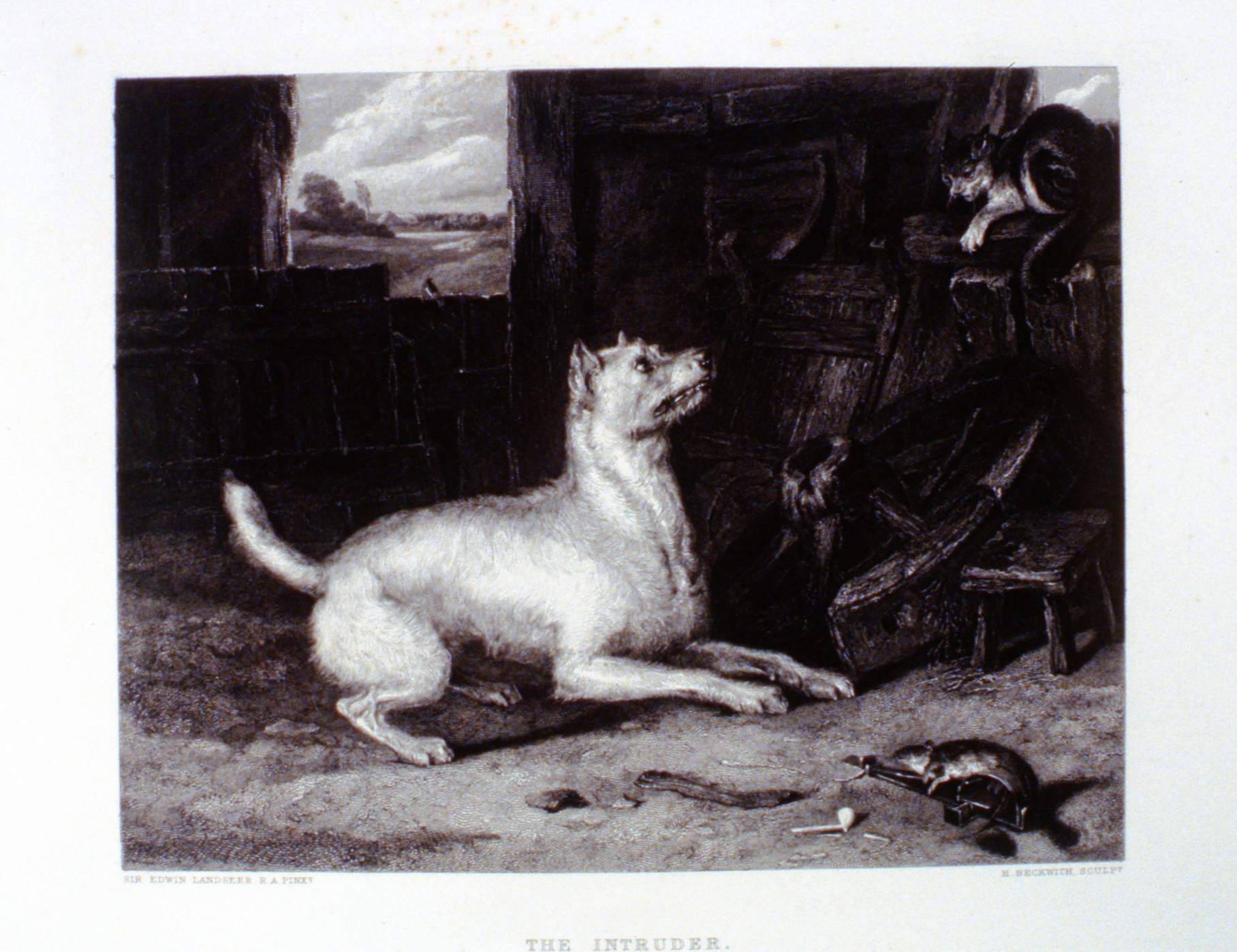 The Intruder , c. late 19th Century, H. Beckwith, steel engraving, 17.8 cm x 22.5 cm, 1996.08.38, gift of Yvonne Adams