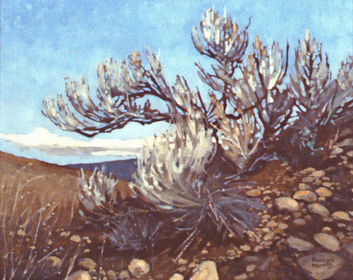 High Above The Valley , n.d., Frances Harris, oil on canvas, 39 x 49 cm, 1981.04.01. Gift of the artist.