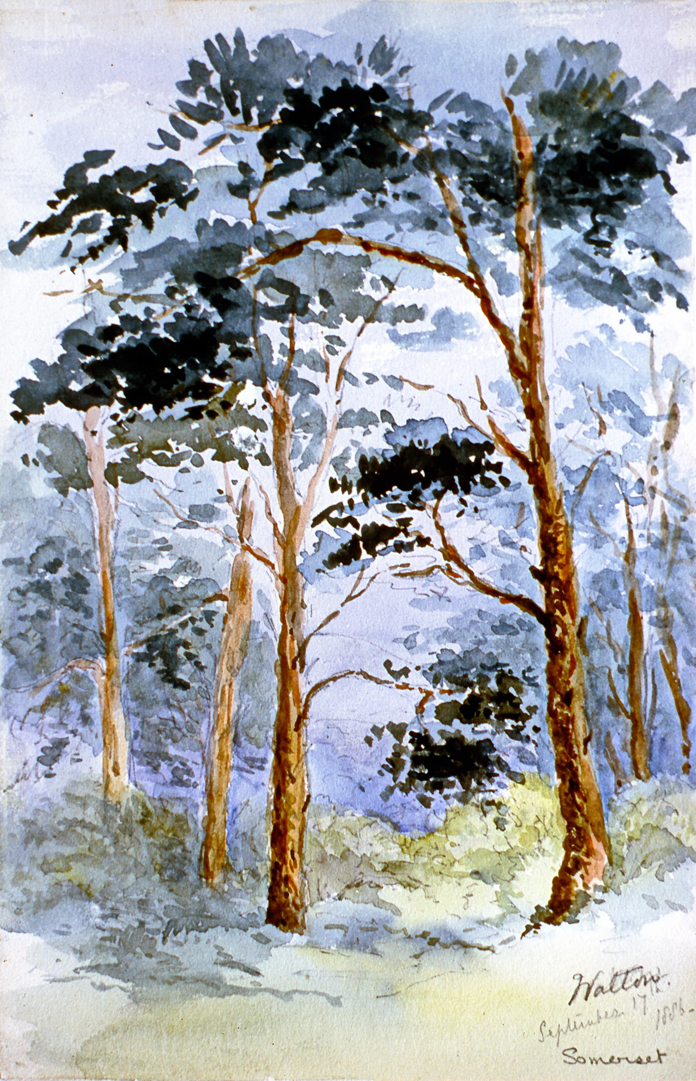5edit-2003-02-83.jpg