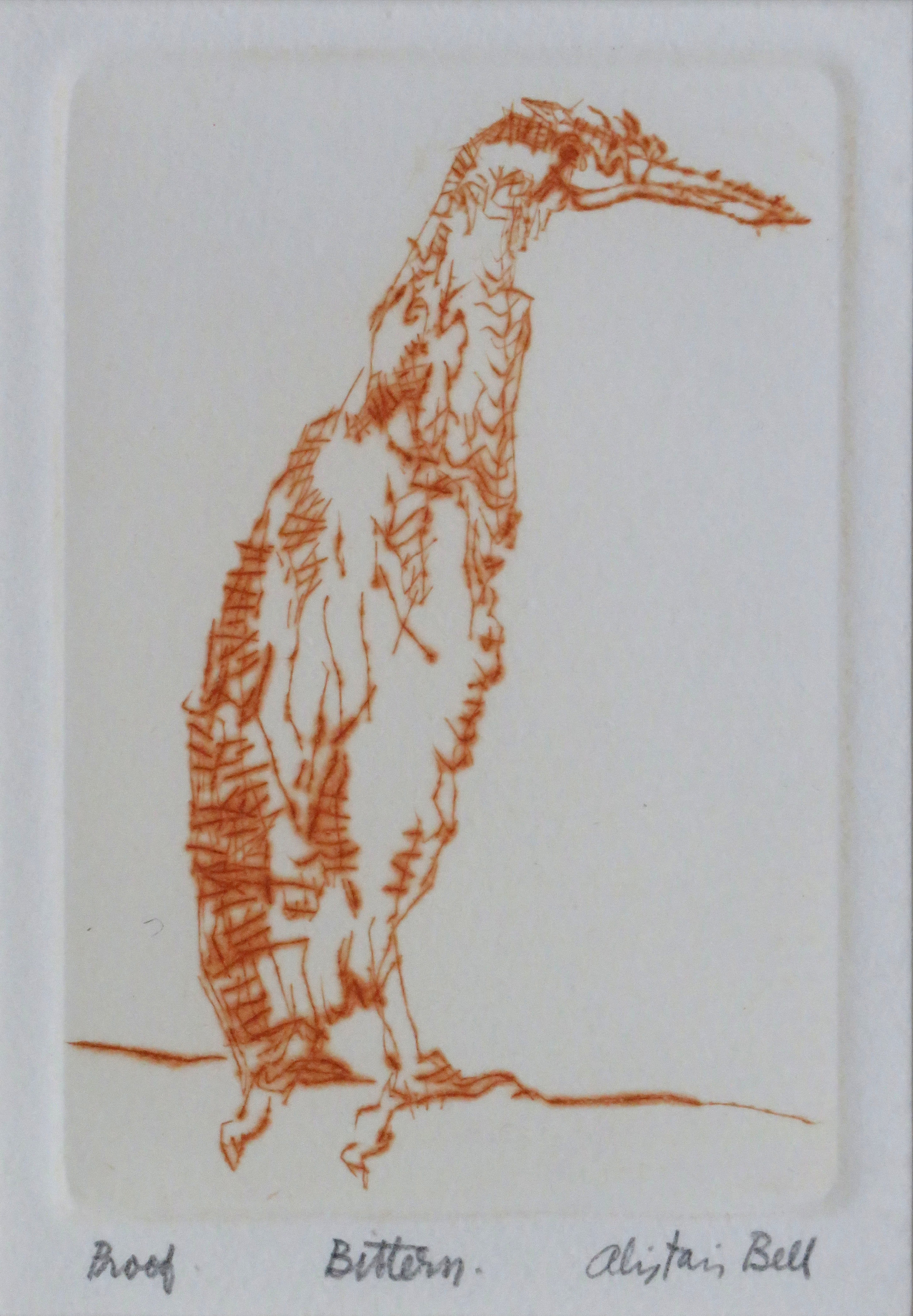 Bittern drypoint.jpg