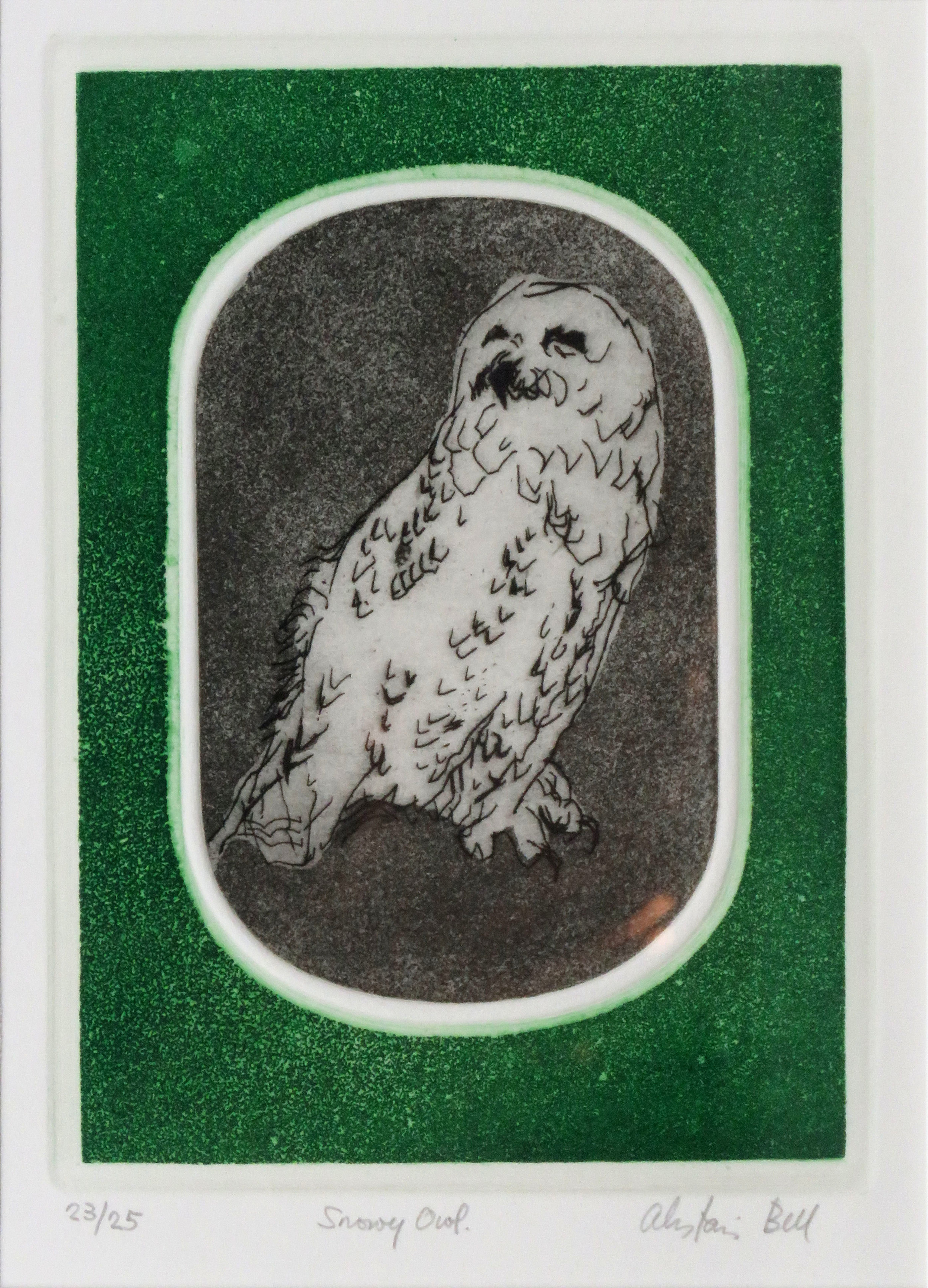 Snowy Owl colour etching, aquatint.jpg