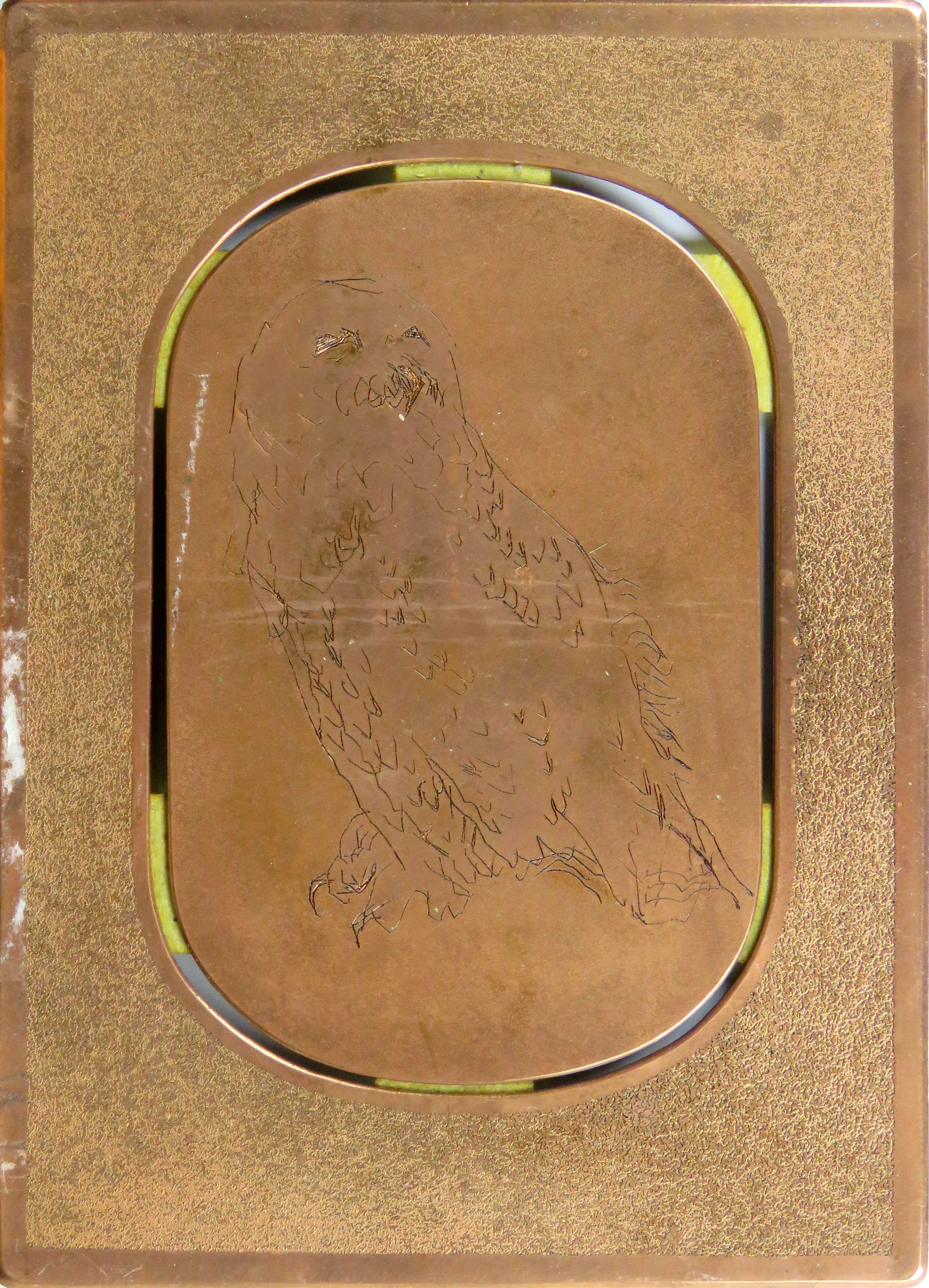 Snowy Owl colour etching, aquatint plates 1 and 2.jpg