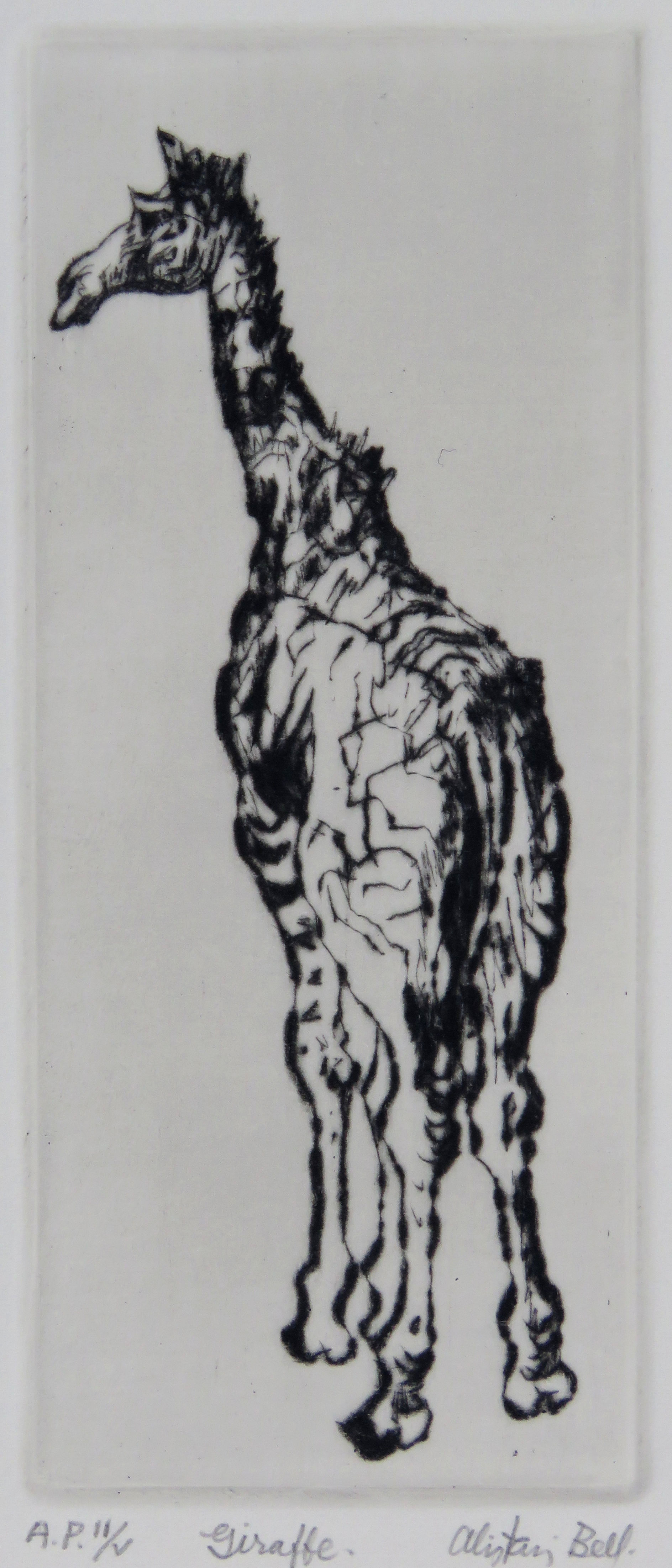 Giraffe drypoint.jpg
