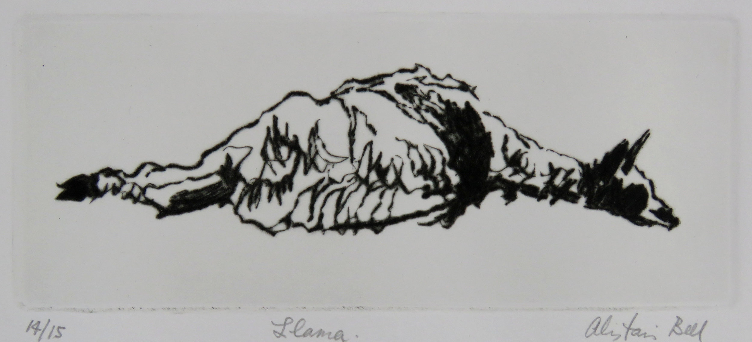 Llama drypoint.jpg