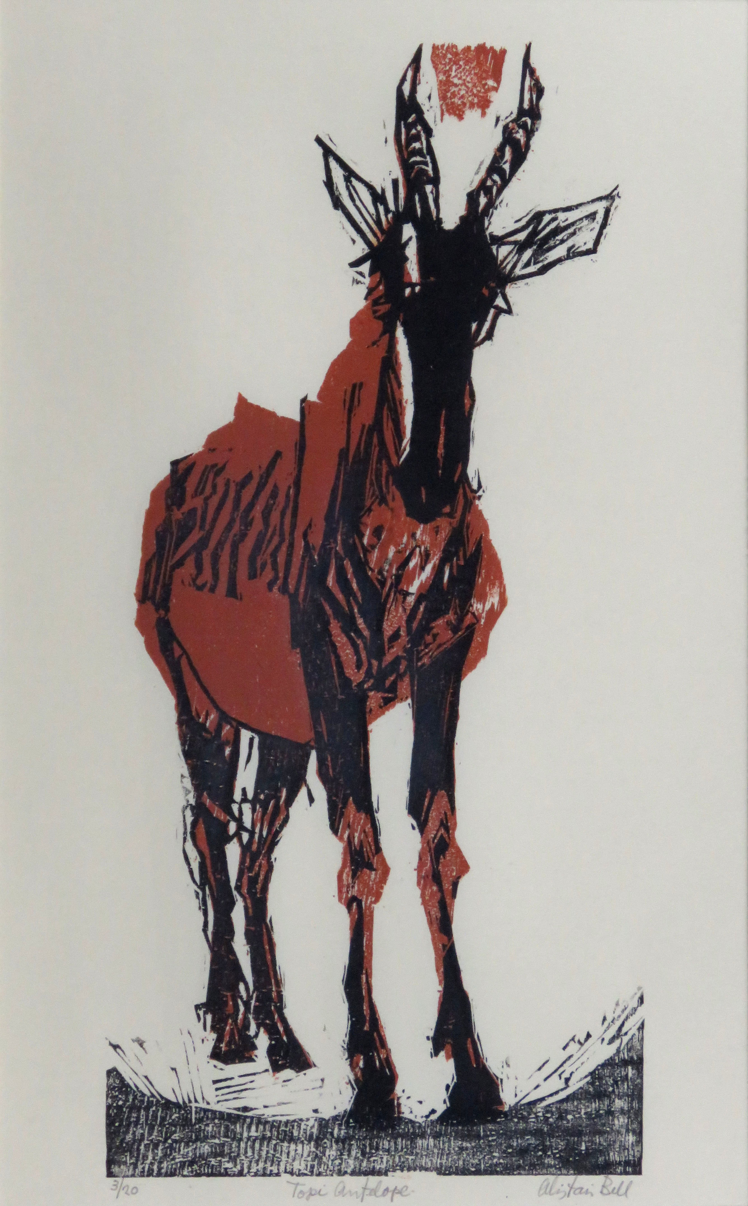 Topi Antelope woodcut.jpg