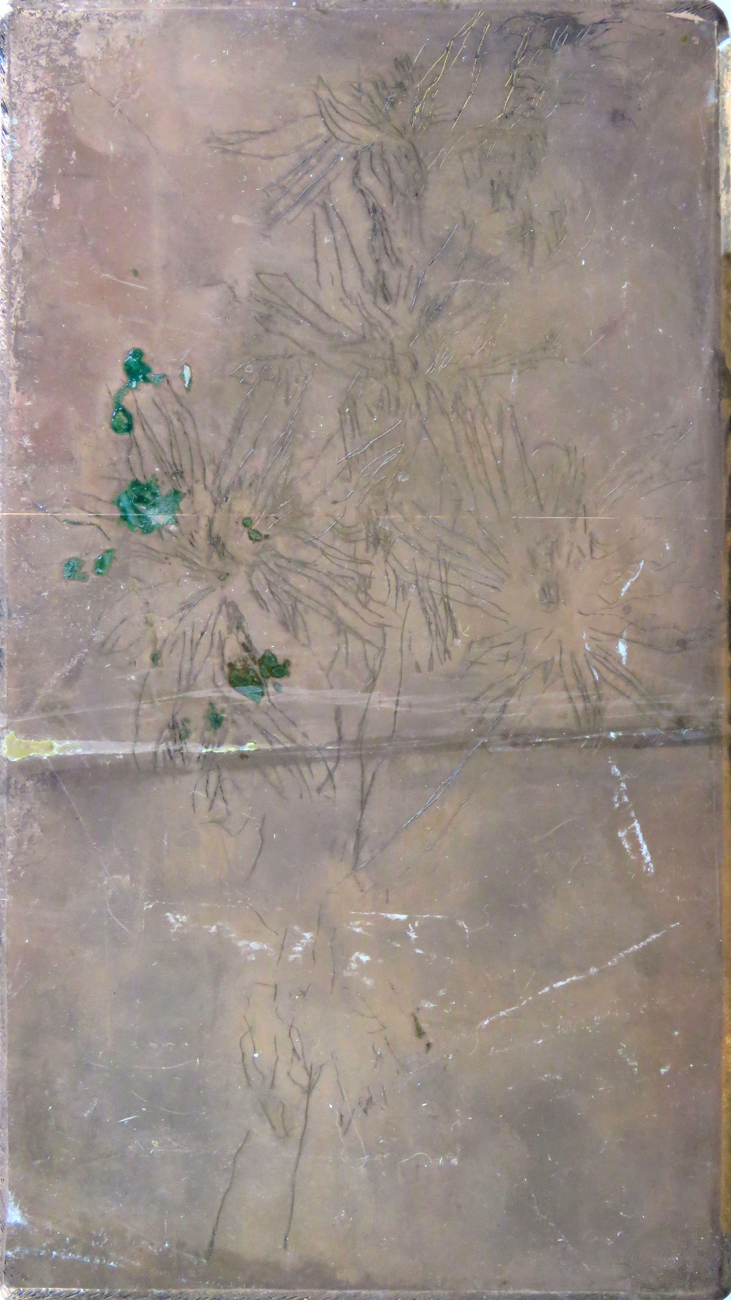 Autumn Flowers III colour drypoint plate1.jpg