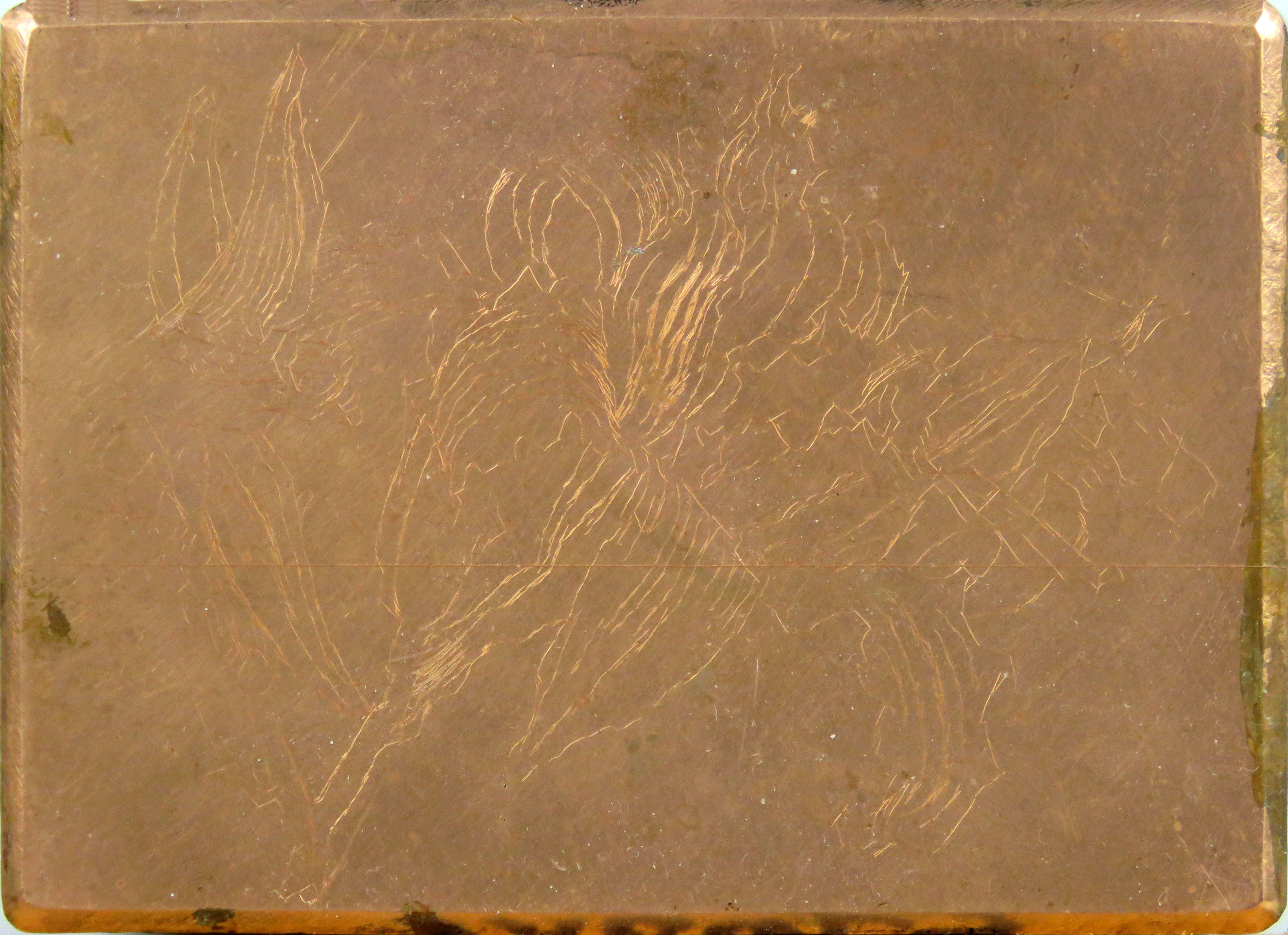 Day Lily II drypoint plate.jpg