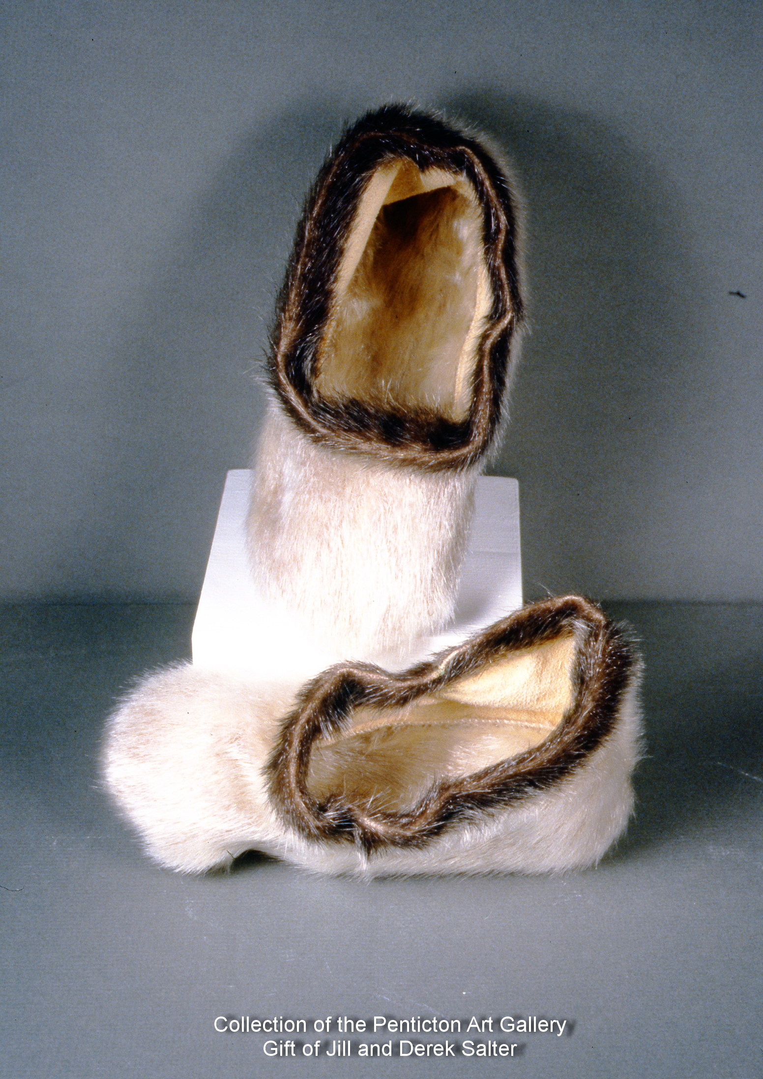 3F24-9980199.jpg