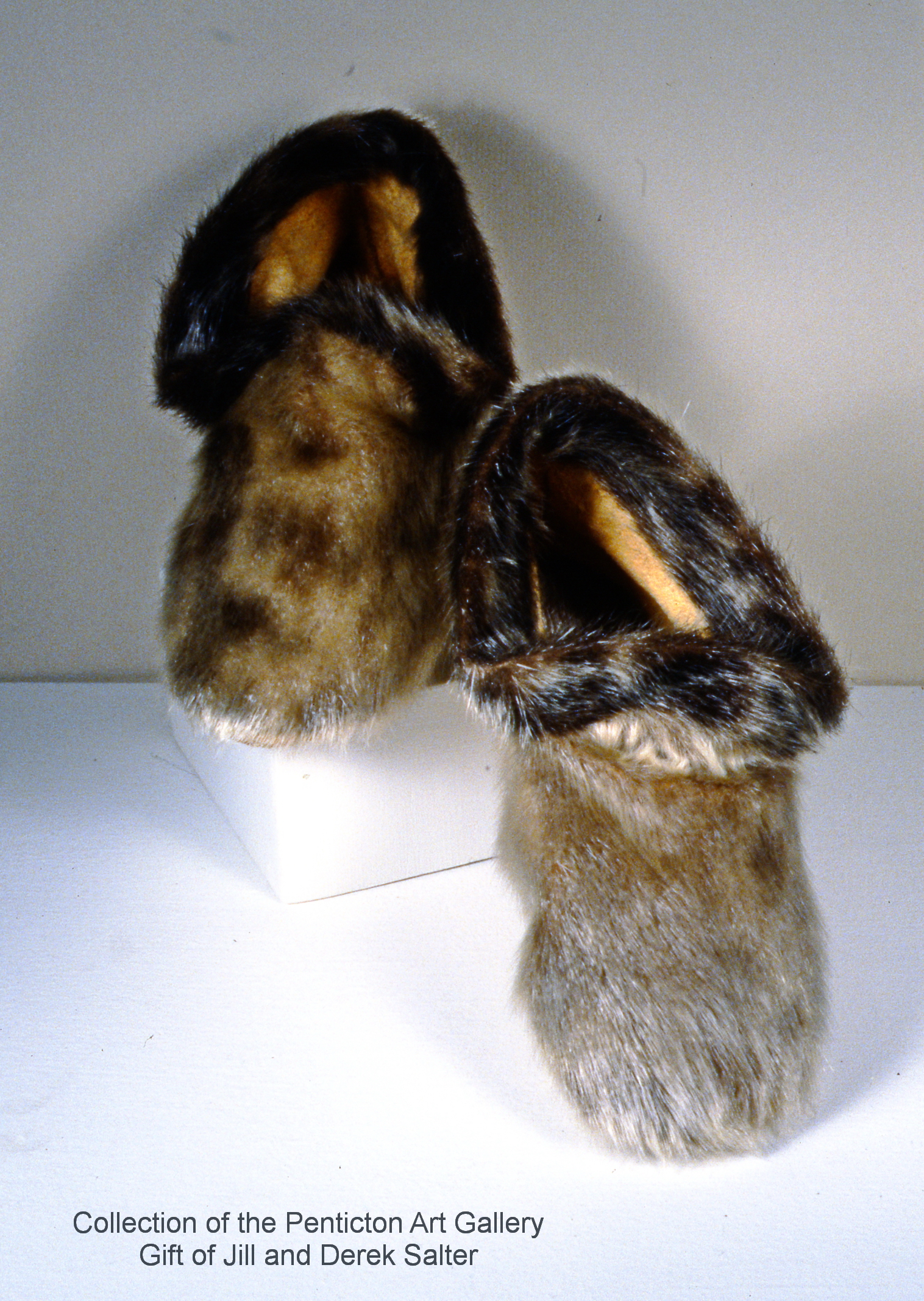 3F25-99801100.jpg