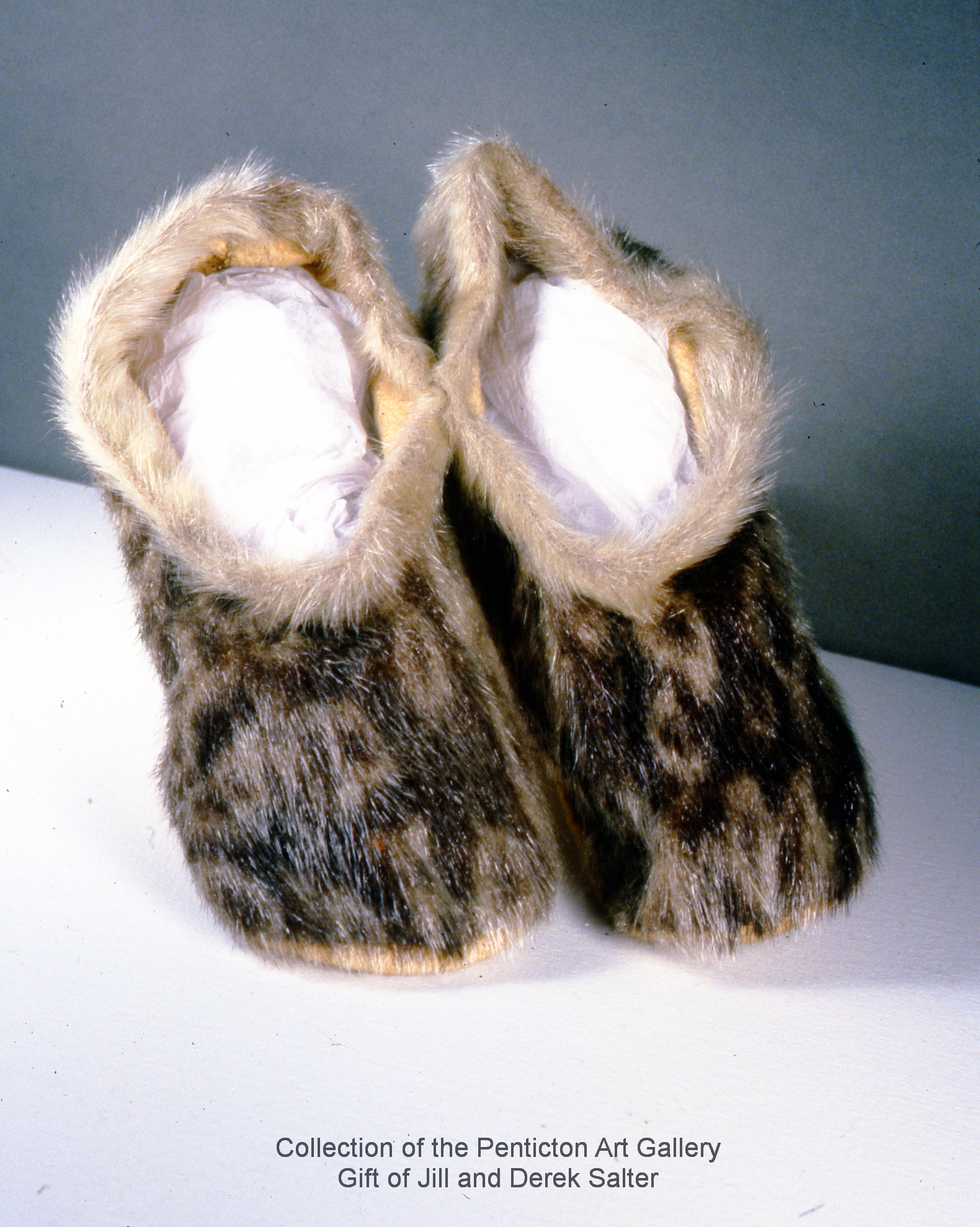 3F25-99801101.jpg
