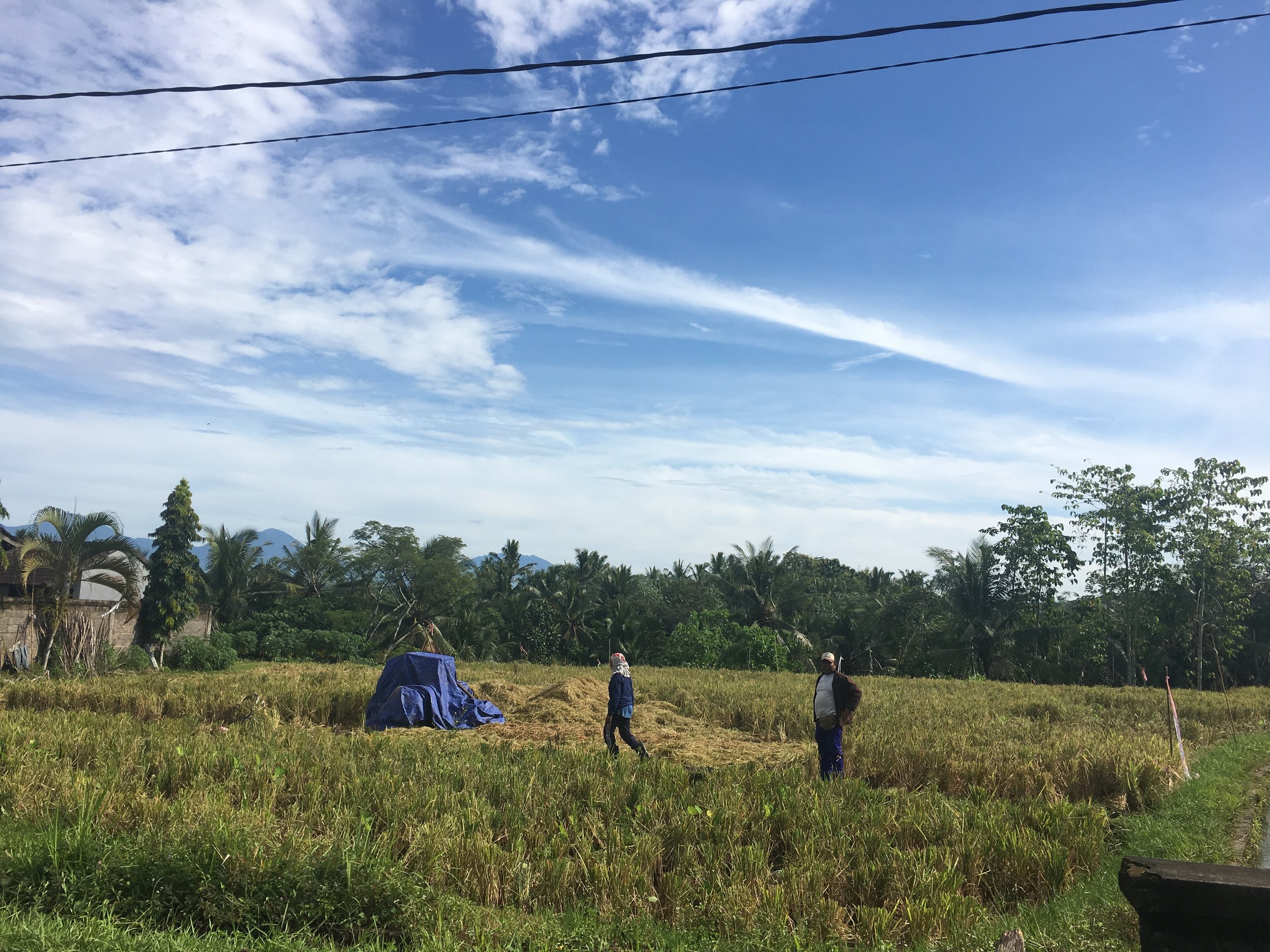 Northern Bali - The Country