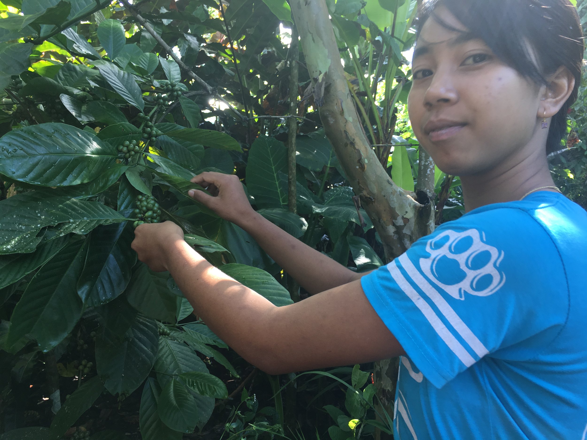 Reesa Teaching About Coffee Plants