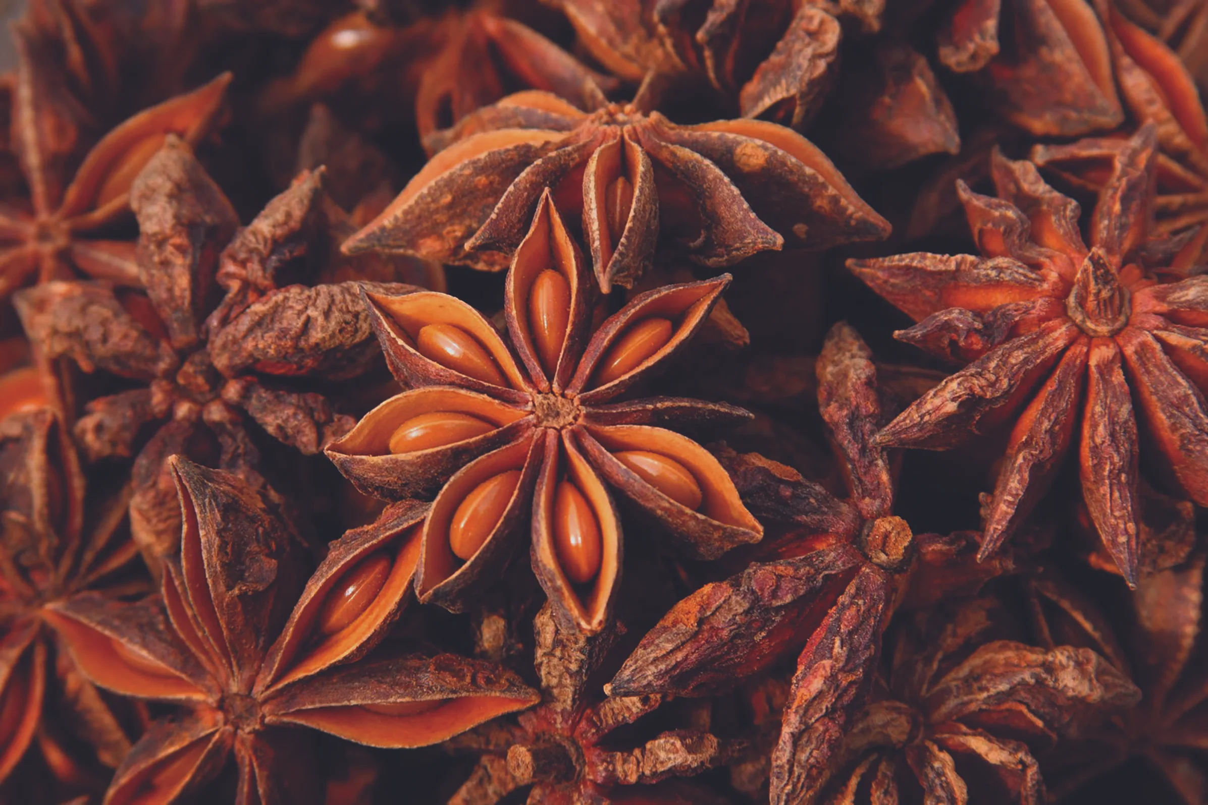 ANISE.jpg