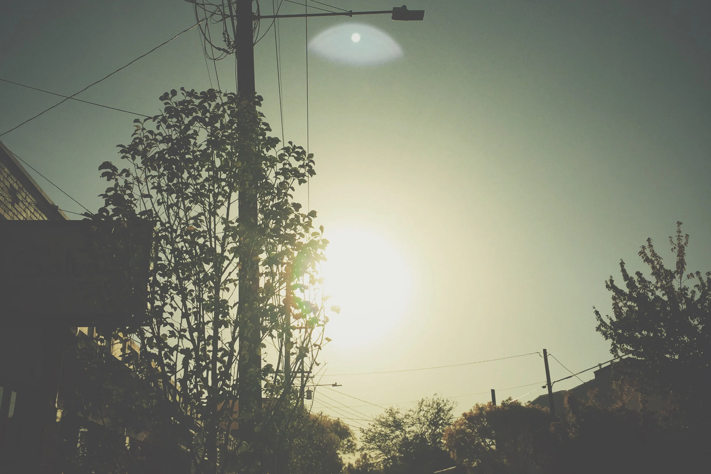 Our Second Fragrance Swap