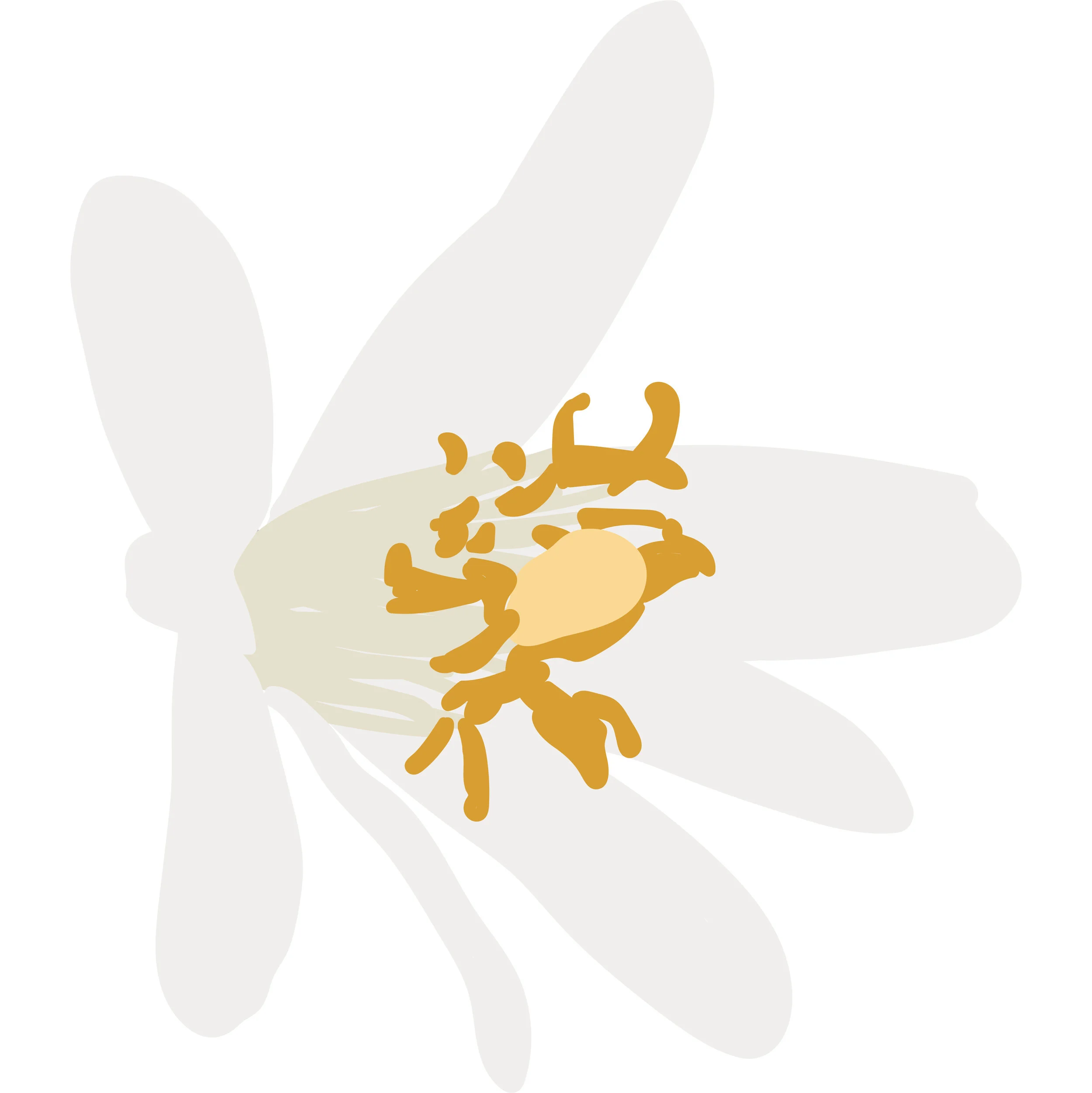 floral-oriental-01.jpg
