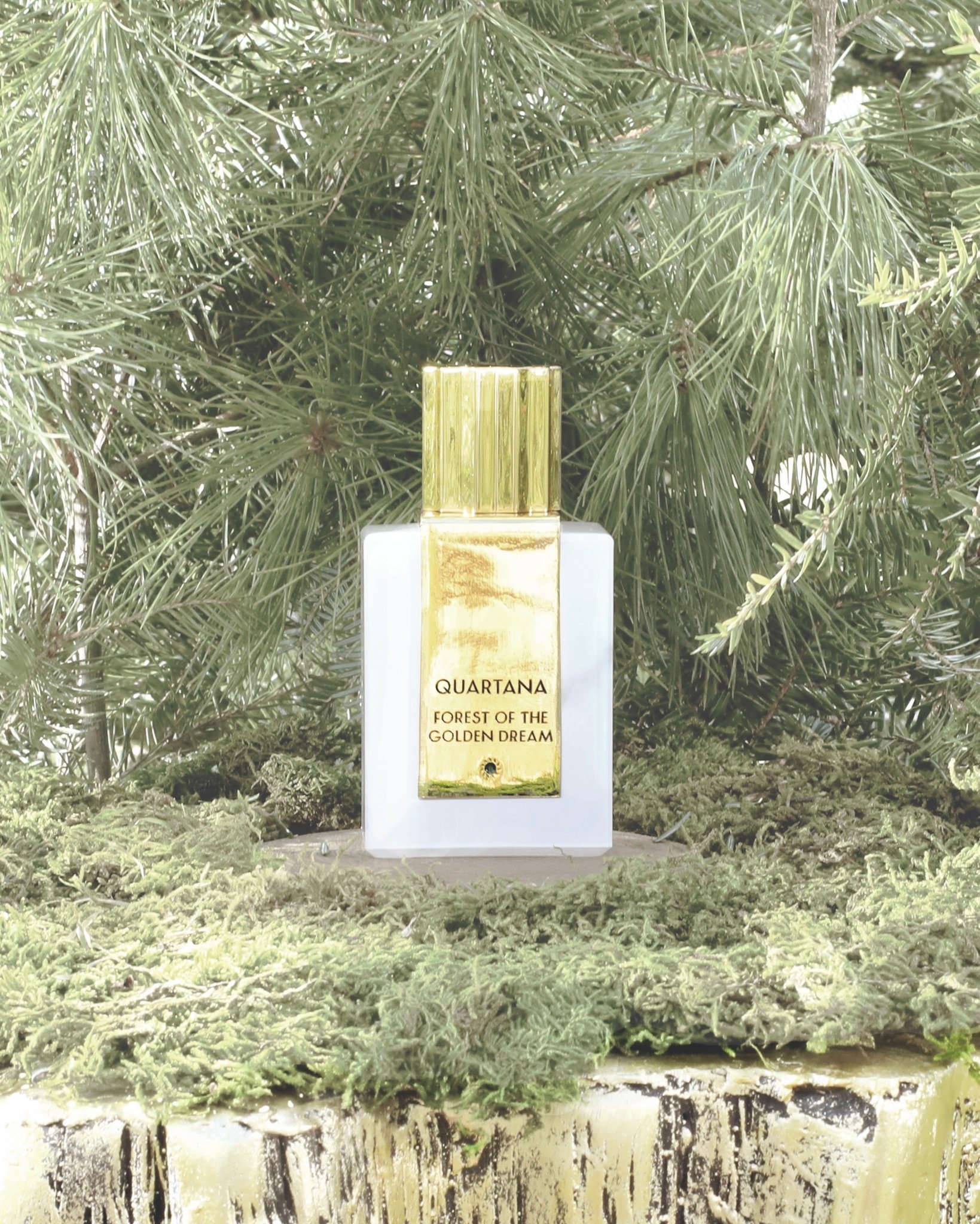 Forest of the Golden Dream Bottle Editorial 45.jpg