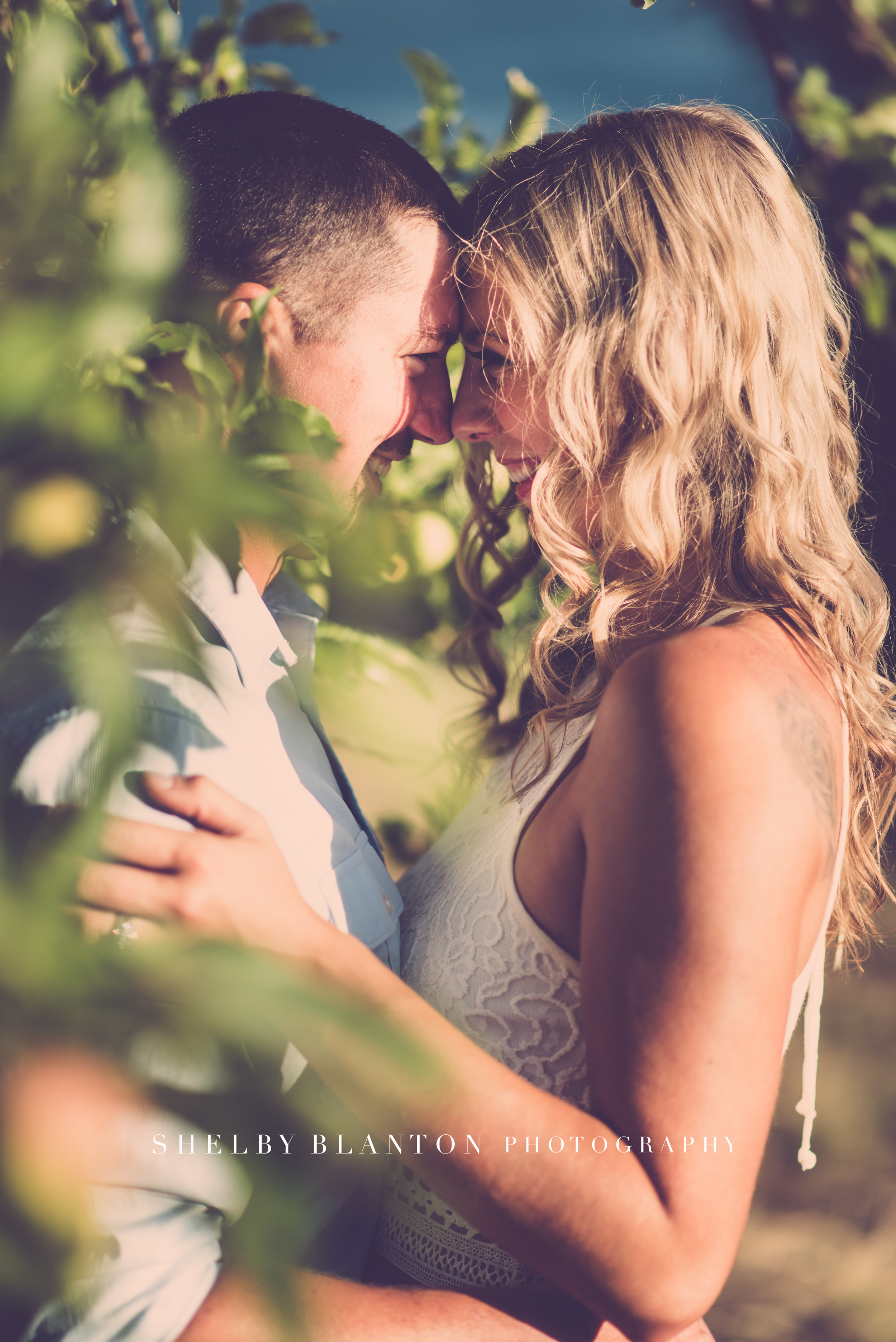 shelby_blanton_photography_apple_tree_session