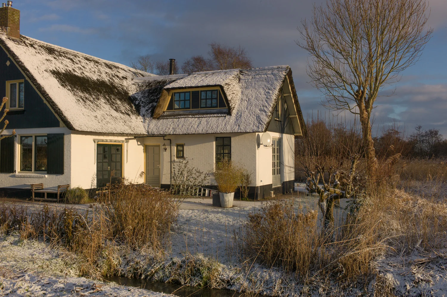 winter-1040780.jpg