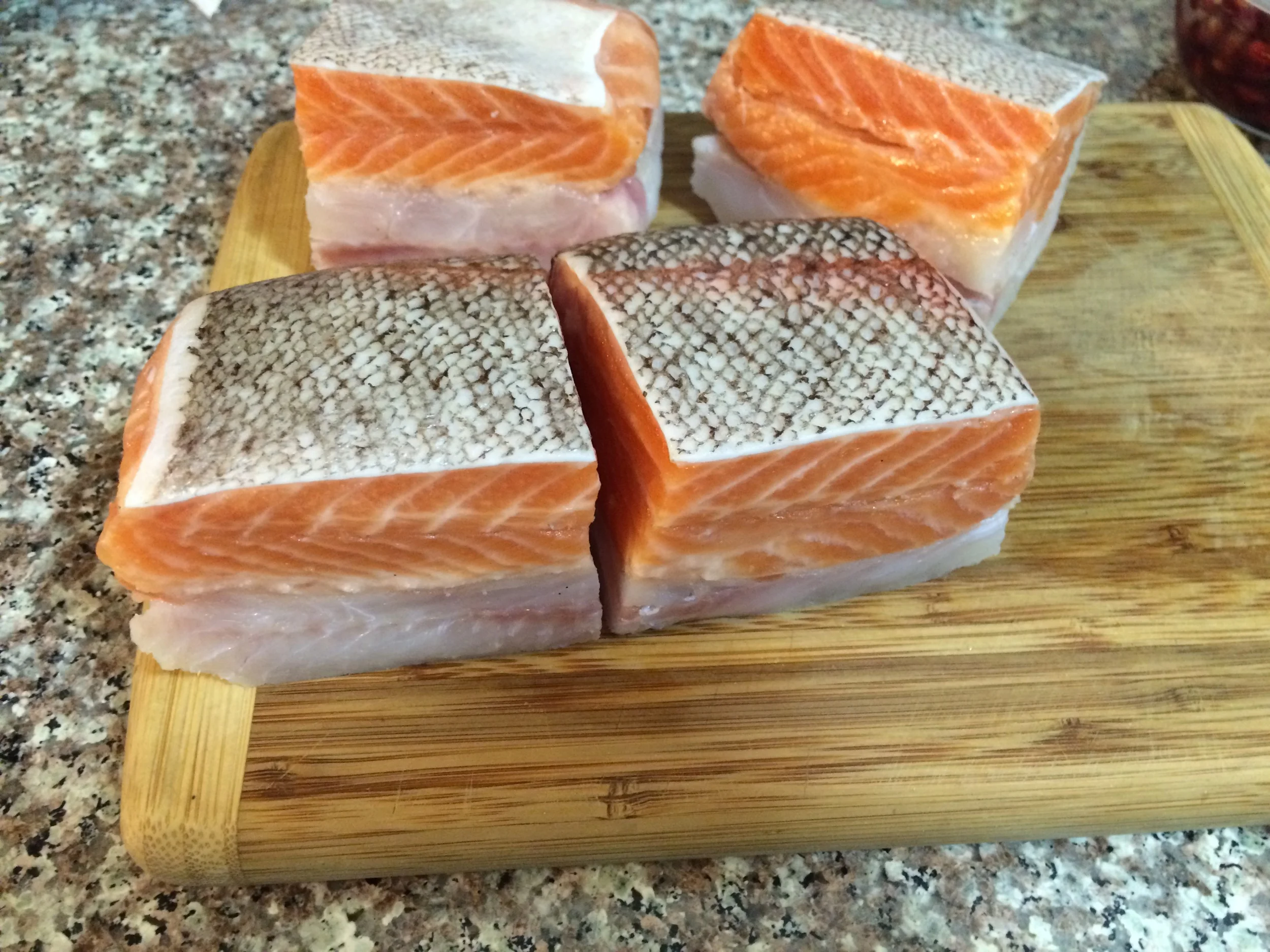 Two Tone Fish