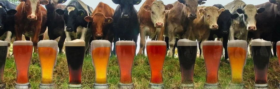 Vermont beer 940.jpg