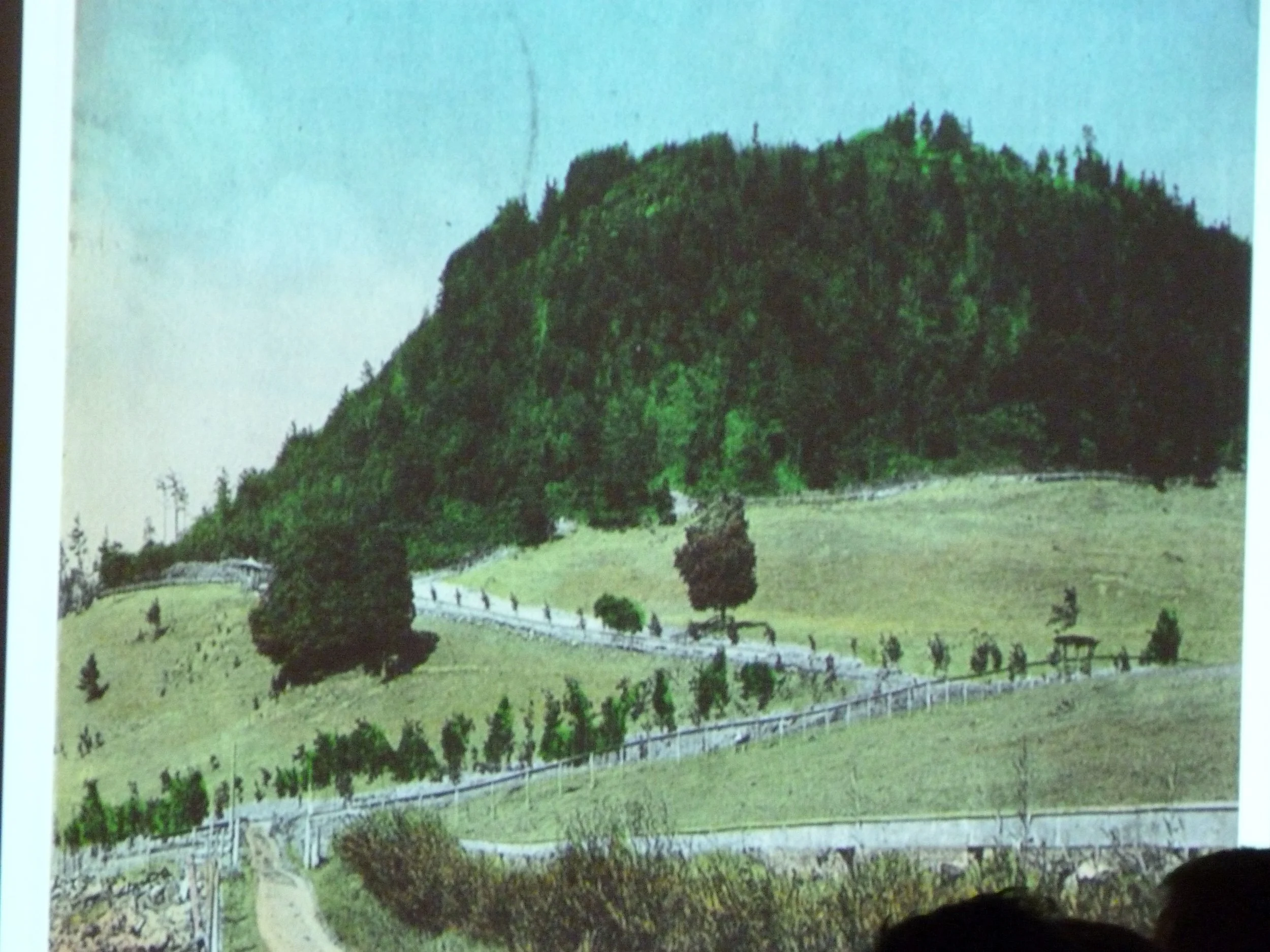 From 1903. The short shrubs in the foreground and maple trees lining the road are now fully mature