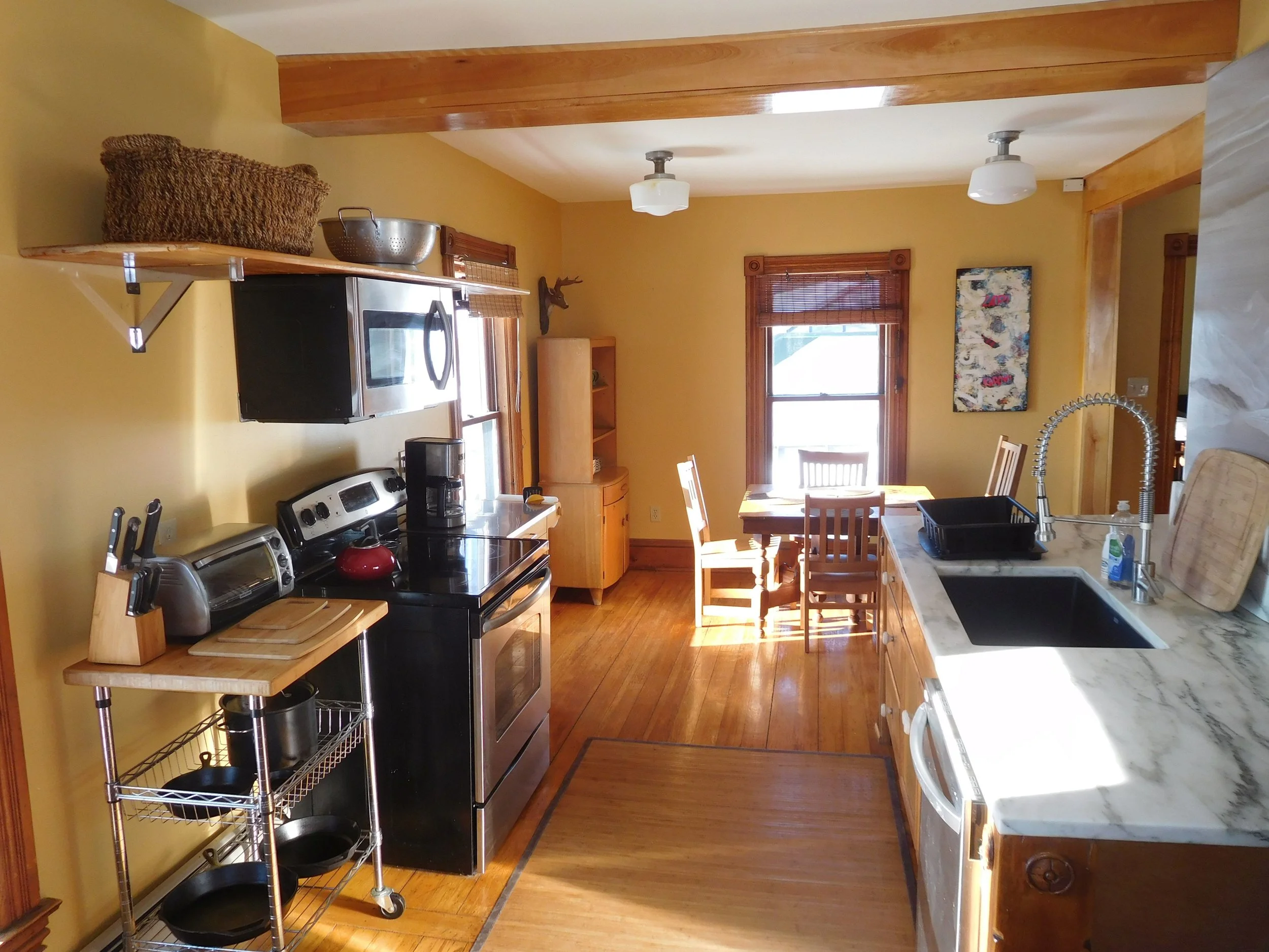 Left Wing kitchen - Plenty of counter space, dishwasher, custom brushed aluminum art.