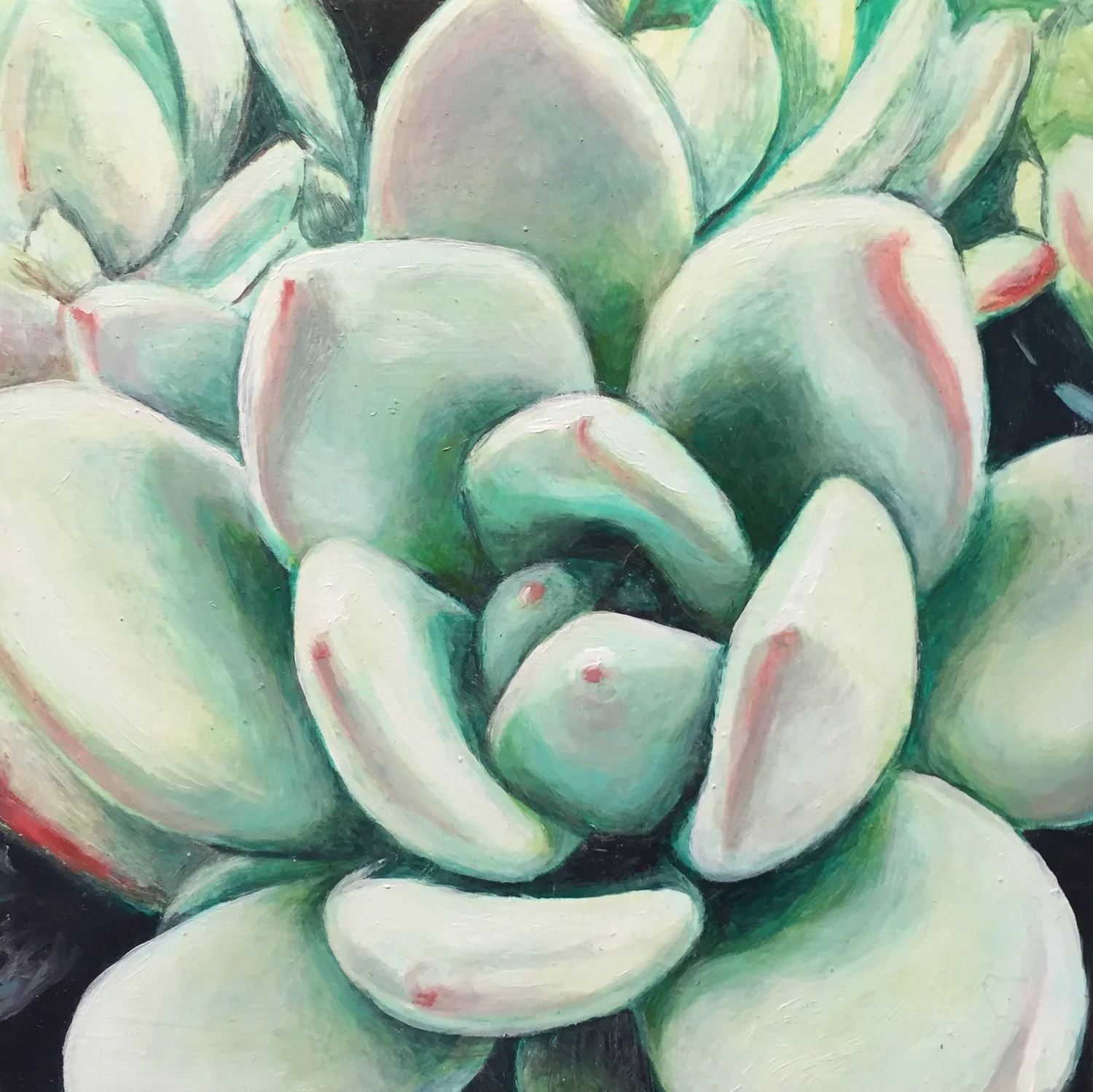 juicy succulent