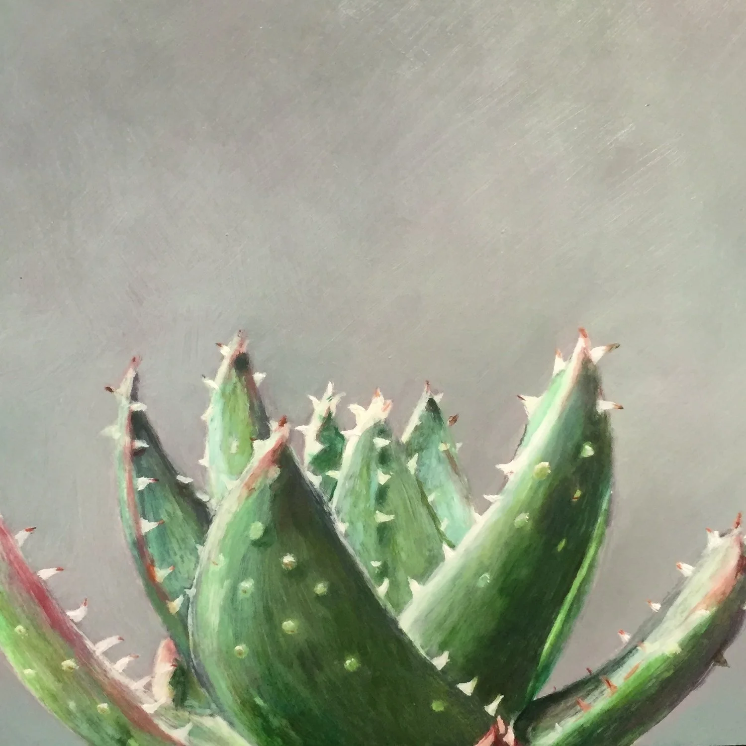 spiky succulent