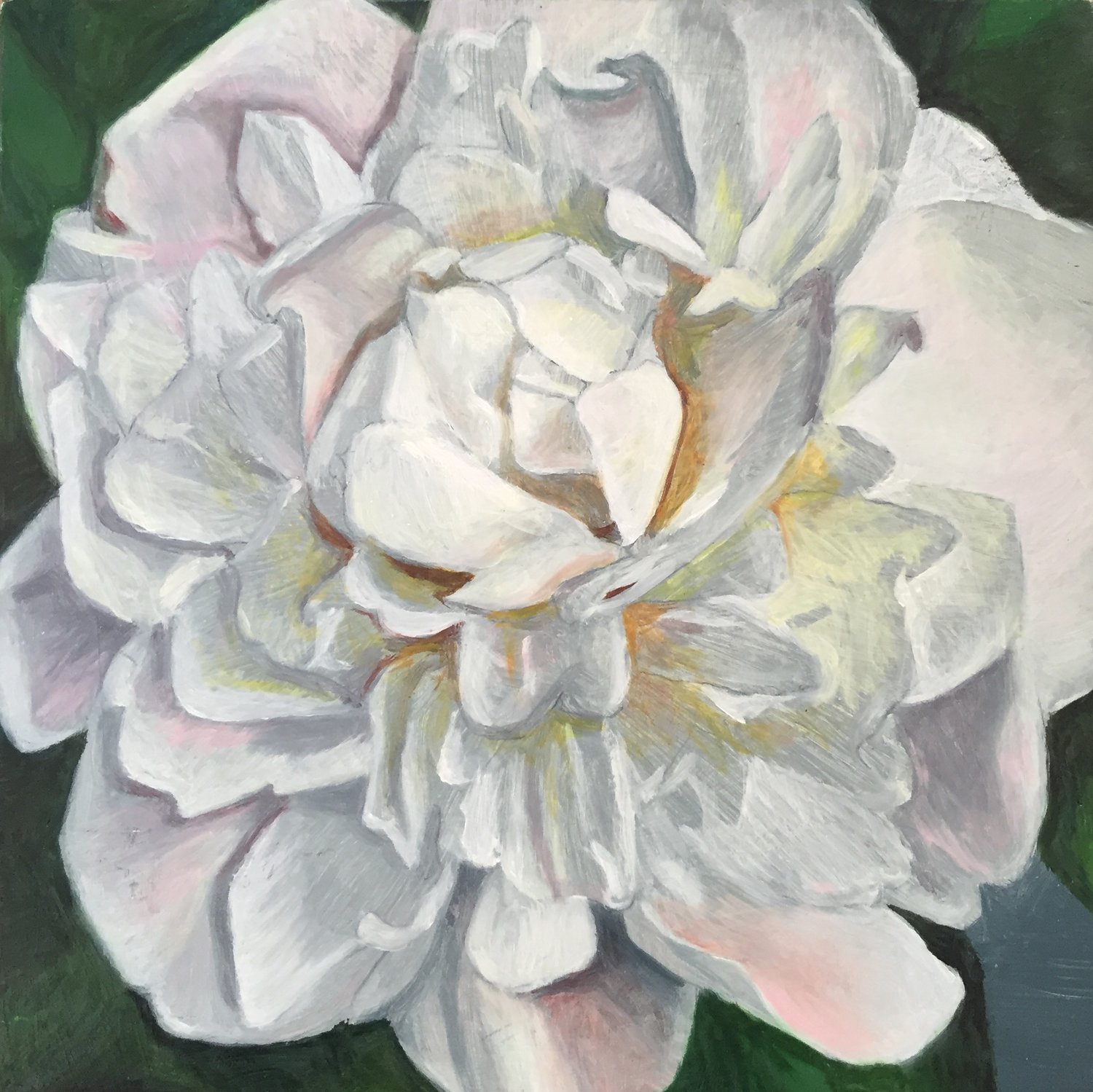 white peony