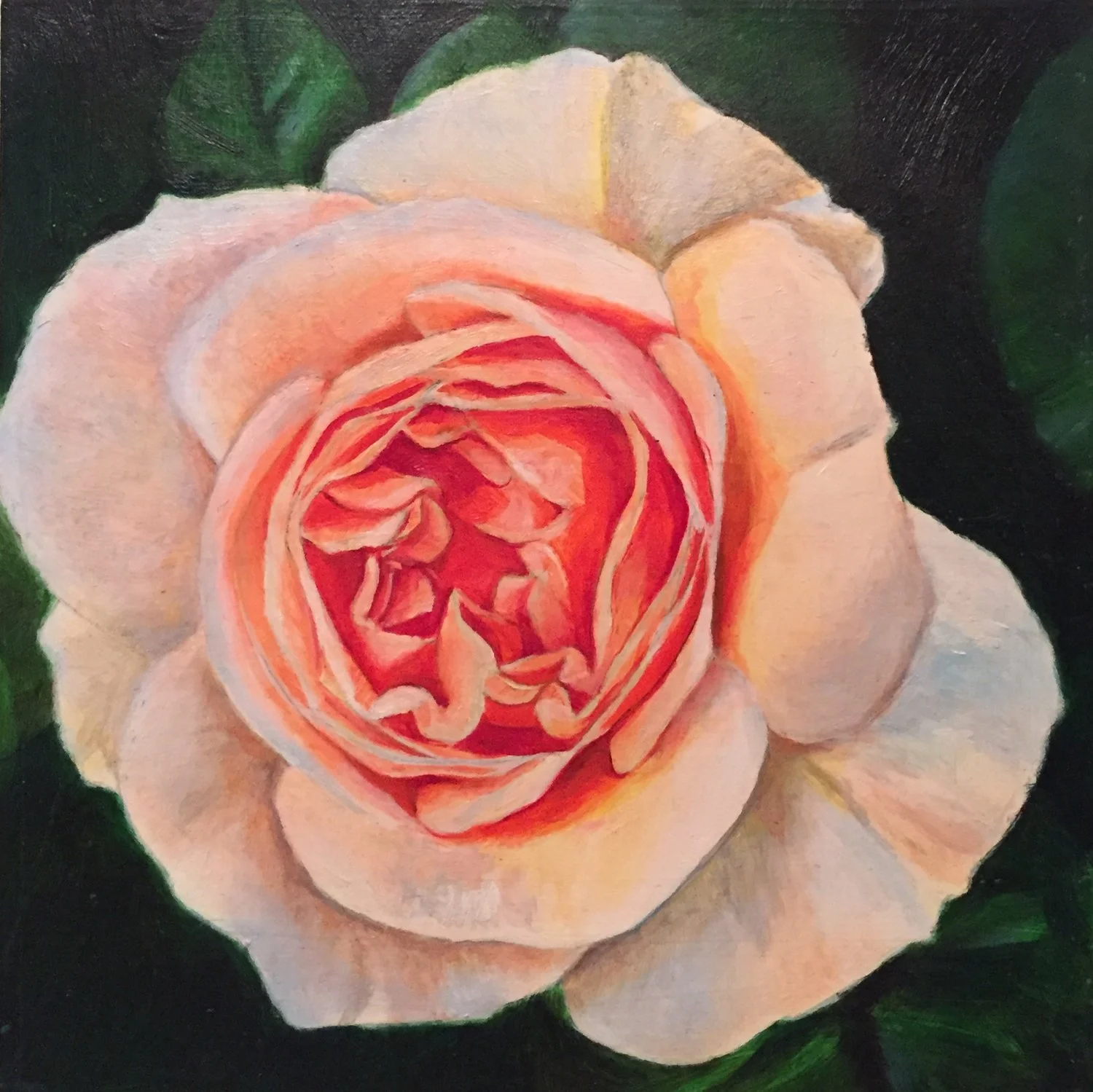 orange rose